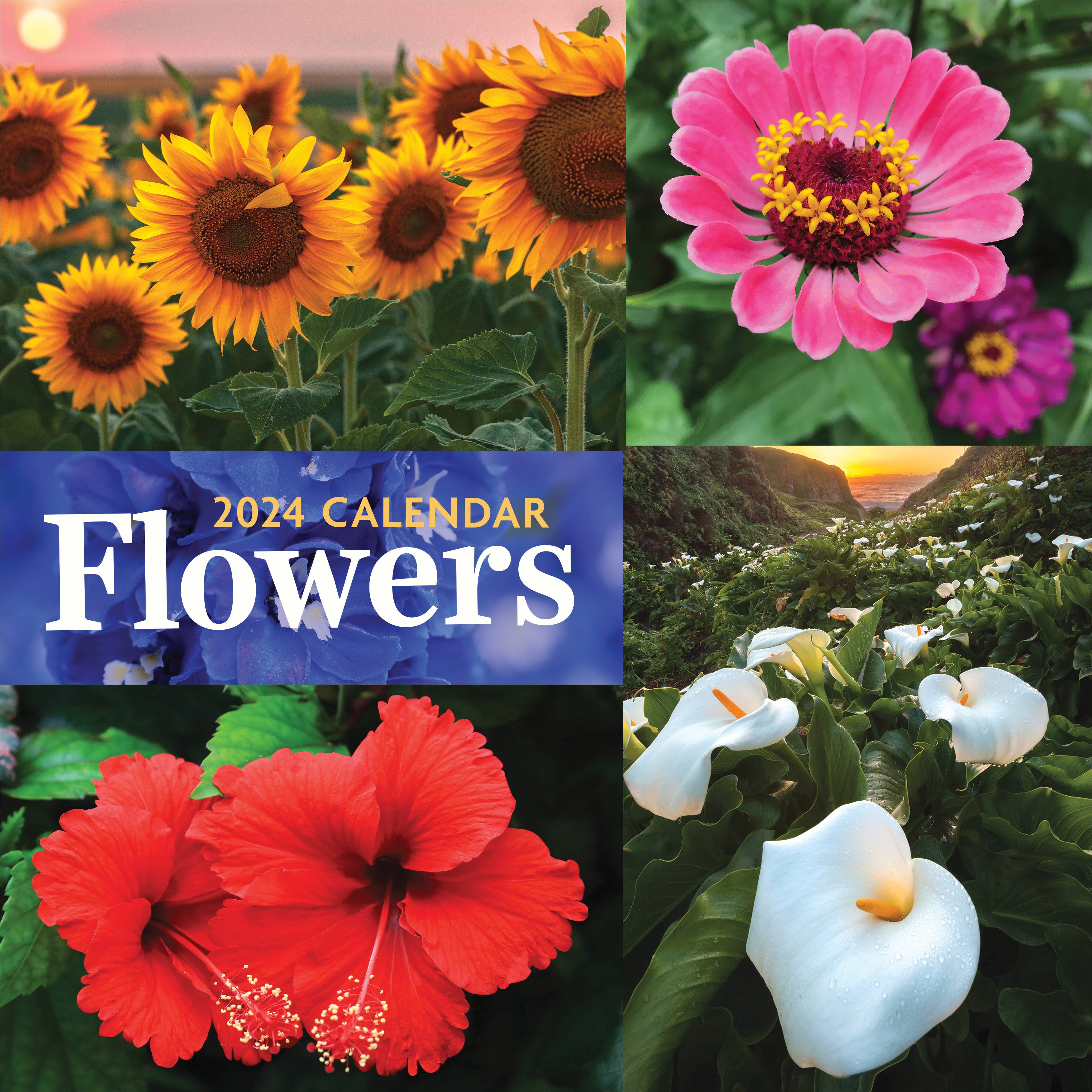 TF Publishing 2024 Flowers Wall Calendar
