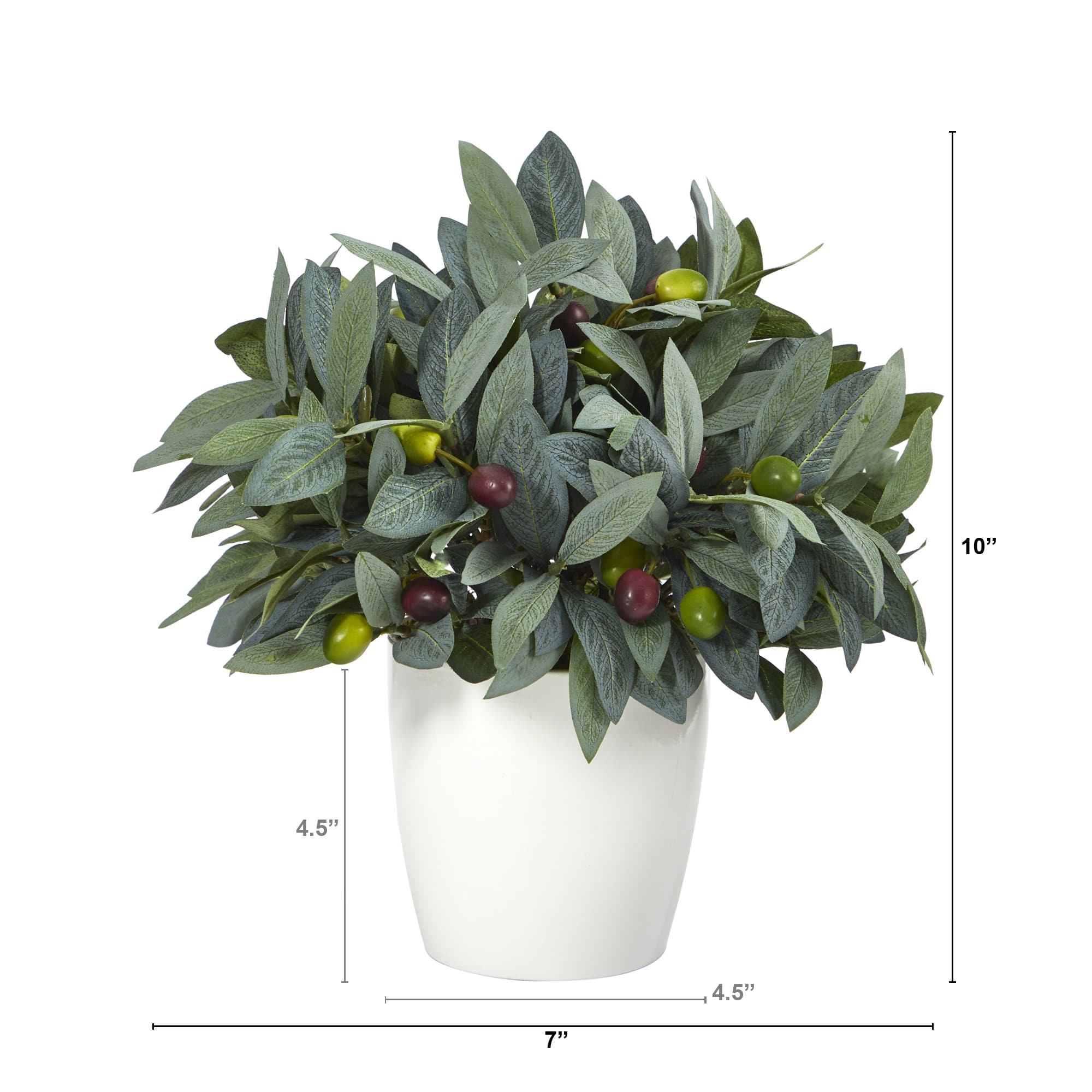 10&#x22; Olive Plant with Berries in White Planter