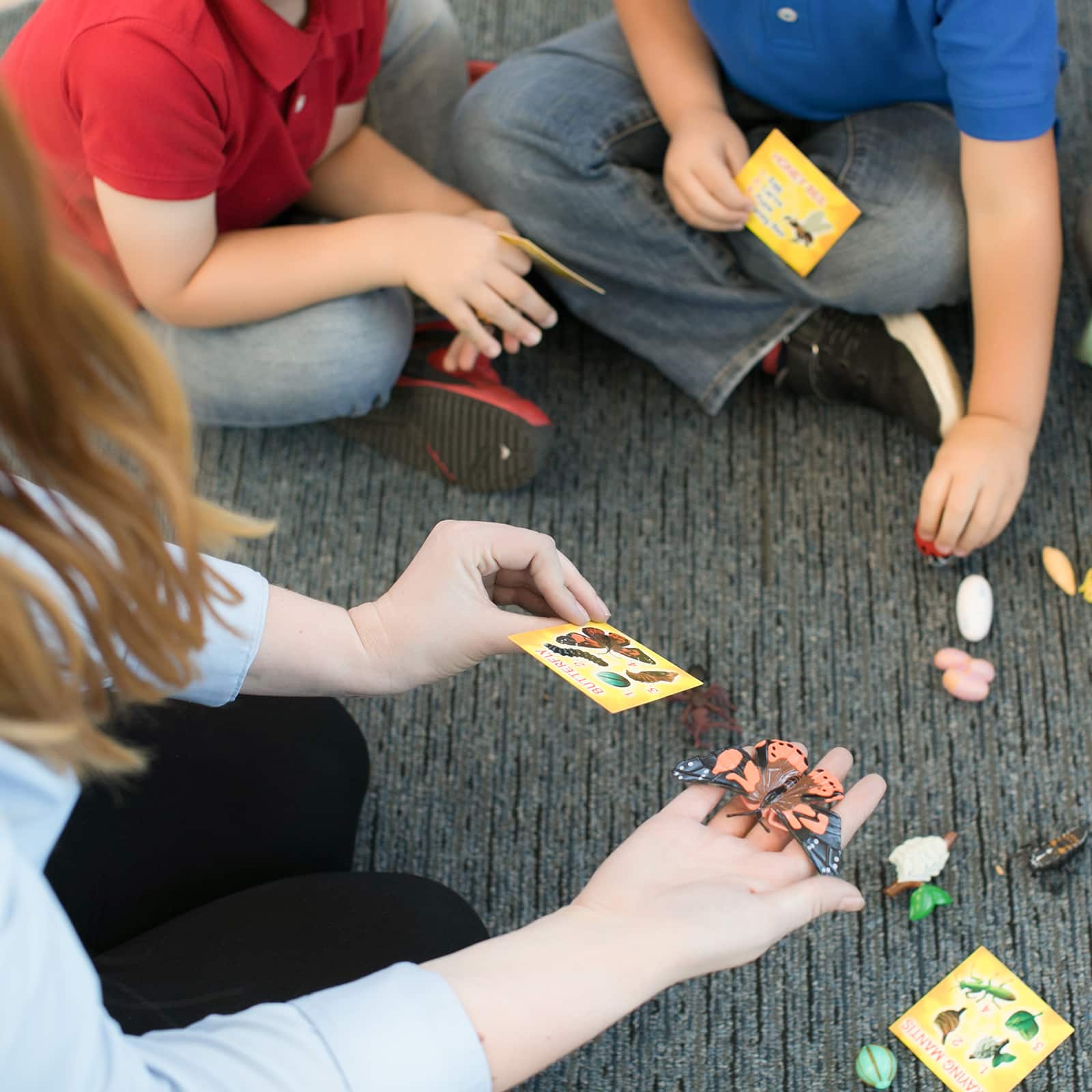 Insect Lore Life Cycle Figurine 24 Piece Set