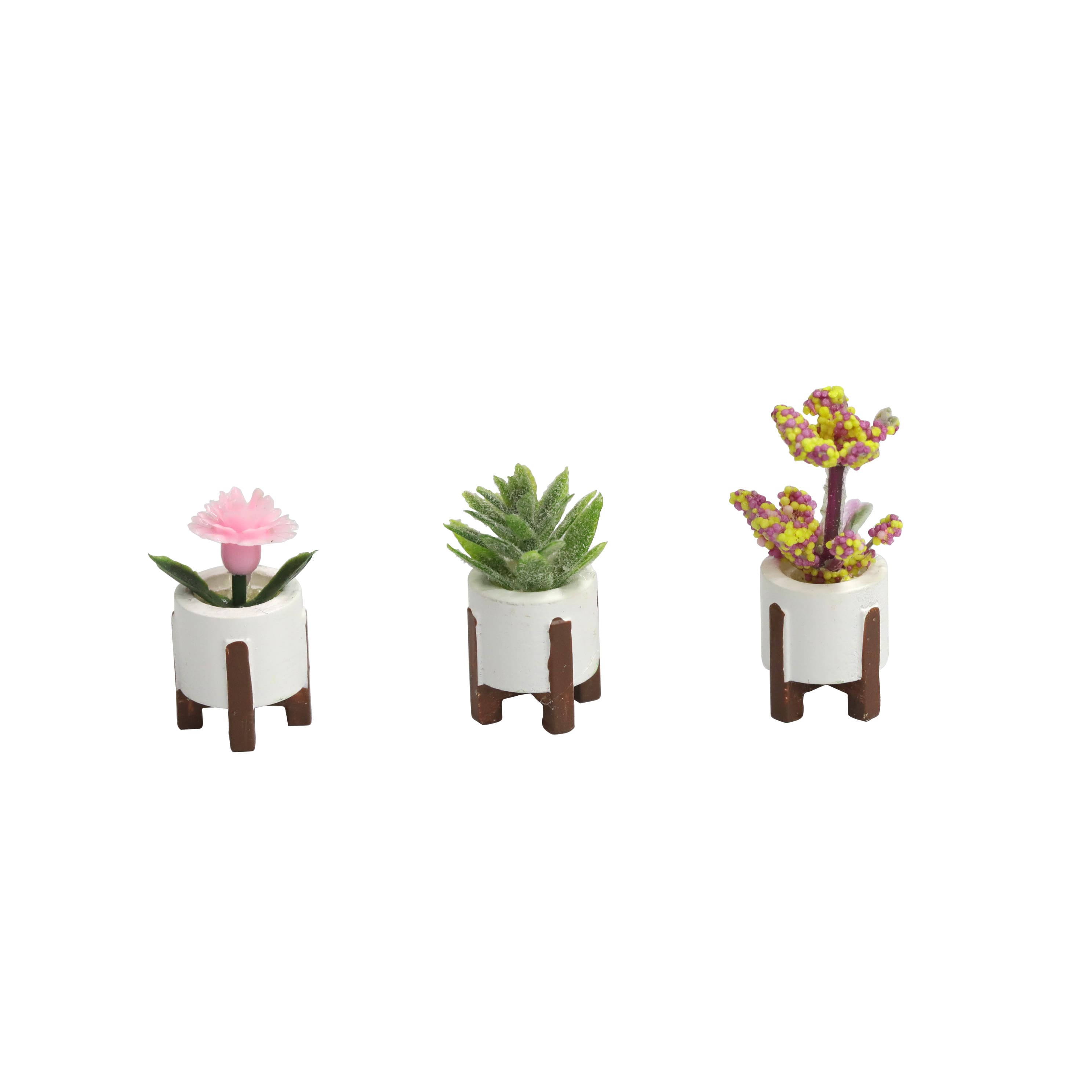 Mini Potted Plant Set by Ashland&#xAE;