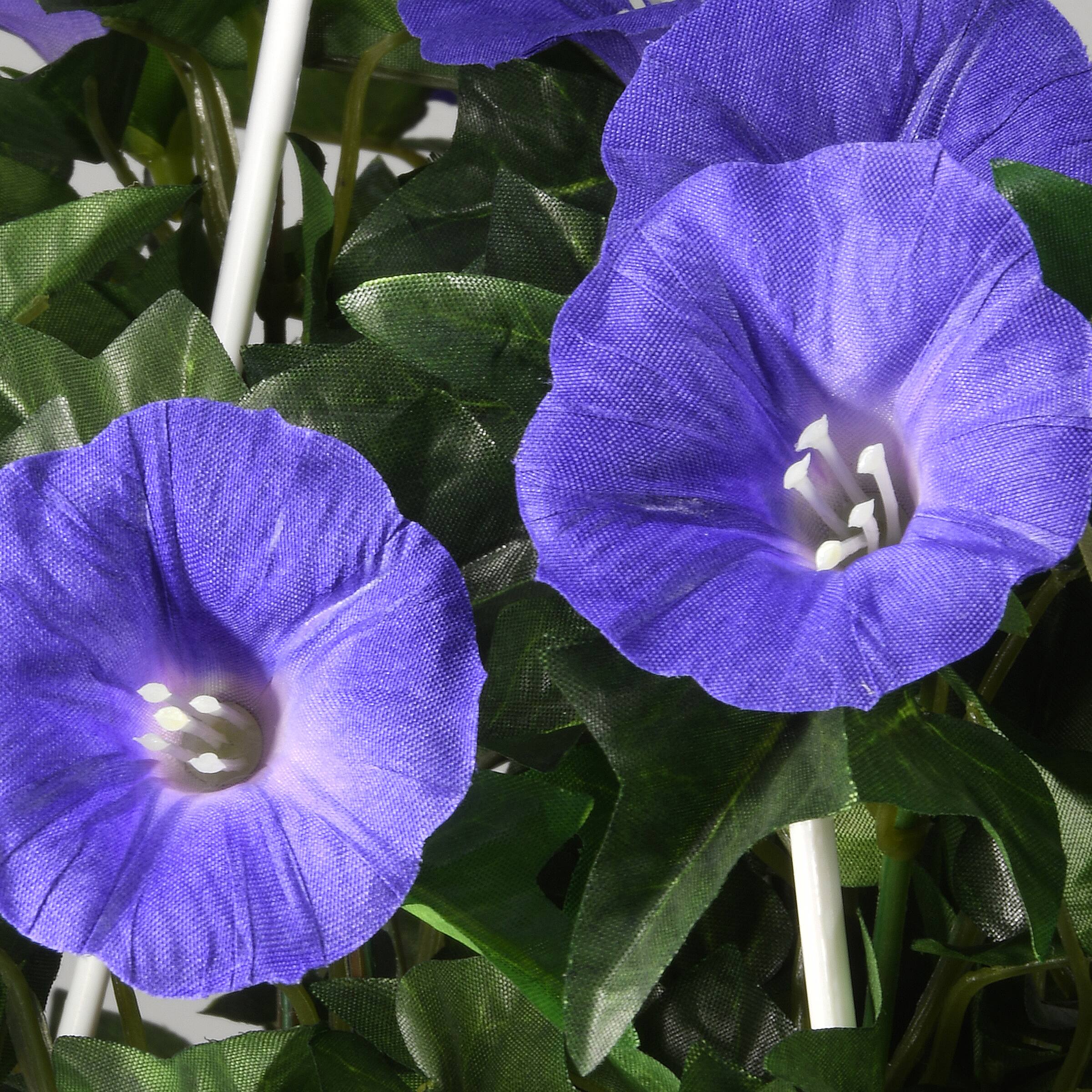 3.5ft. Purple Morning Glory Hanging Plant