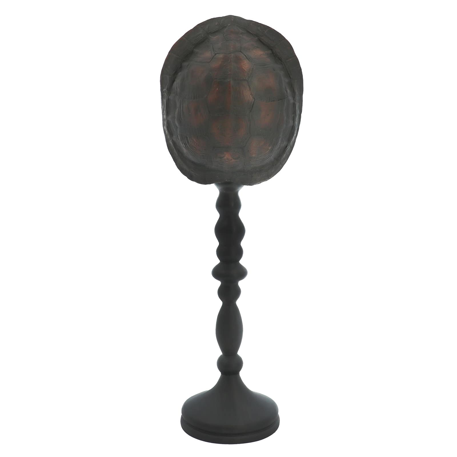 Turtle Shell Tabletop Accent by Ashland