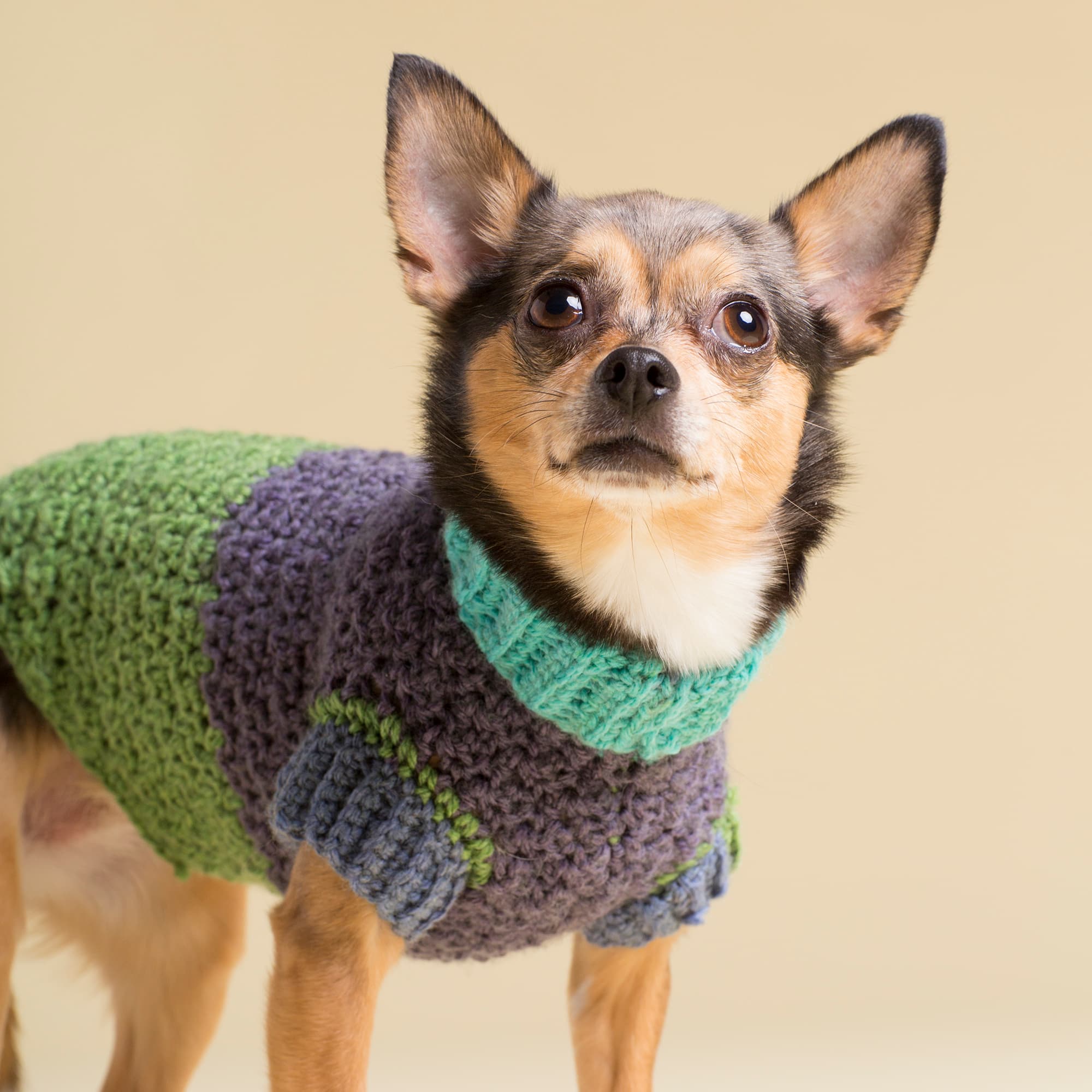 Caron&#xAE; Chunky Cakes&#x2122; Yarn