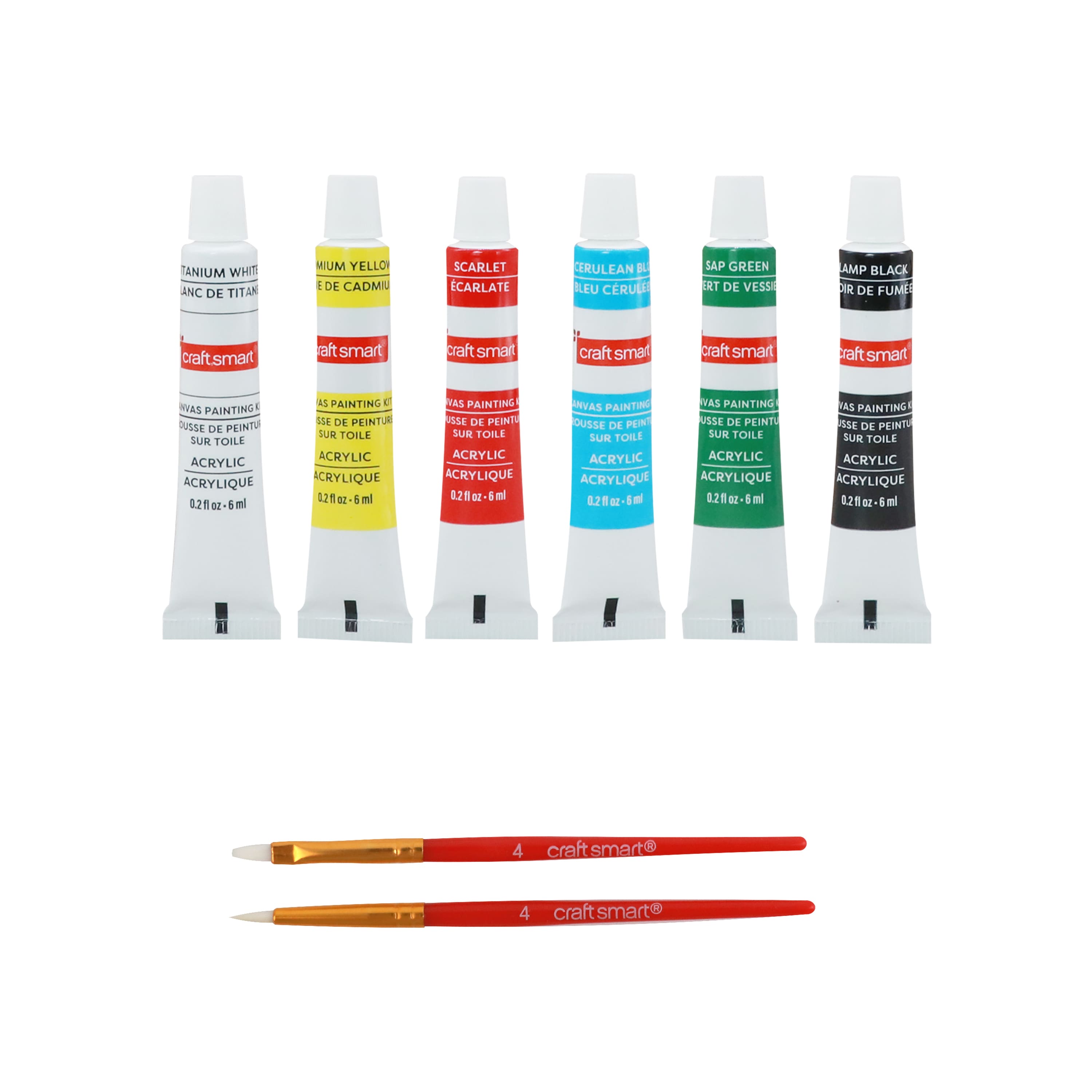 Trousse de peinture sur toile sur le thème des animaux sauvages de 10,1 cm x 10,1 cm