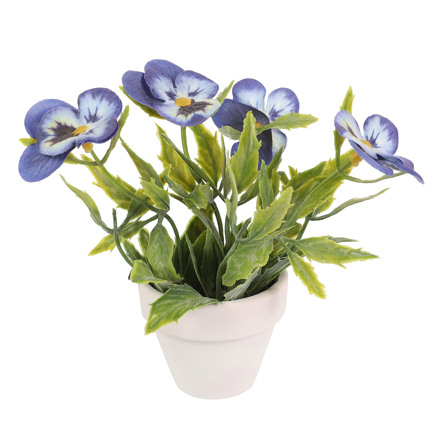Assorted Micro Premade Flowering Plant by Ashland&#xAE;