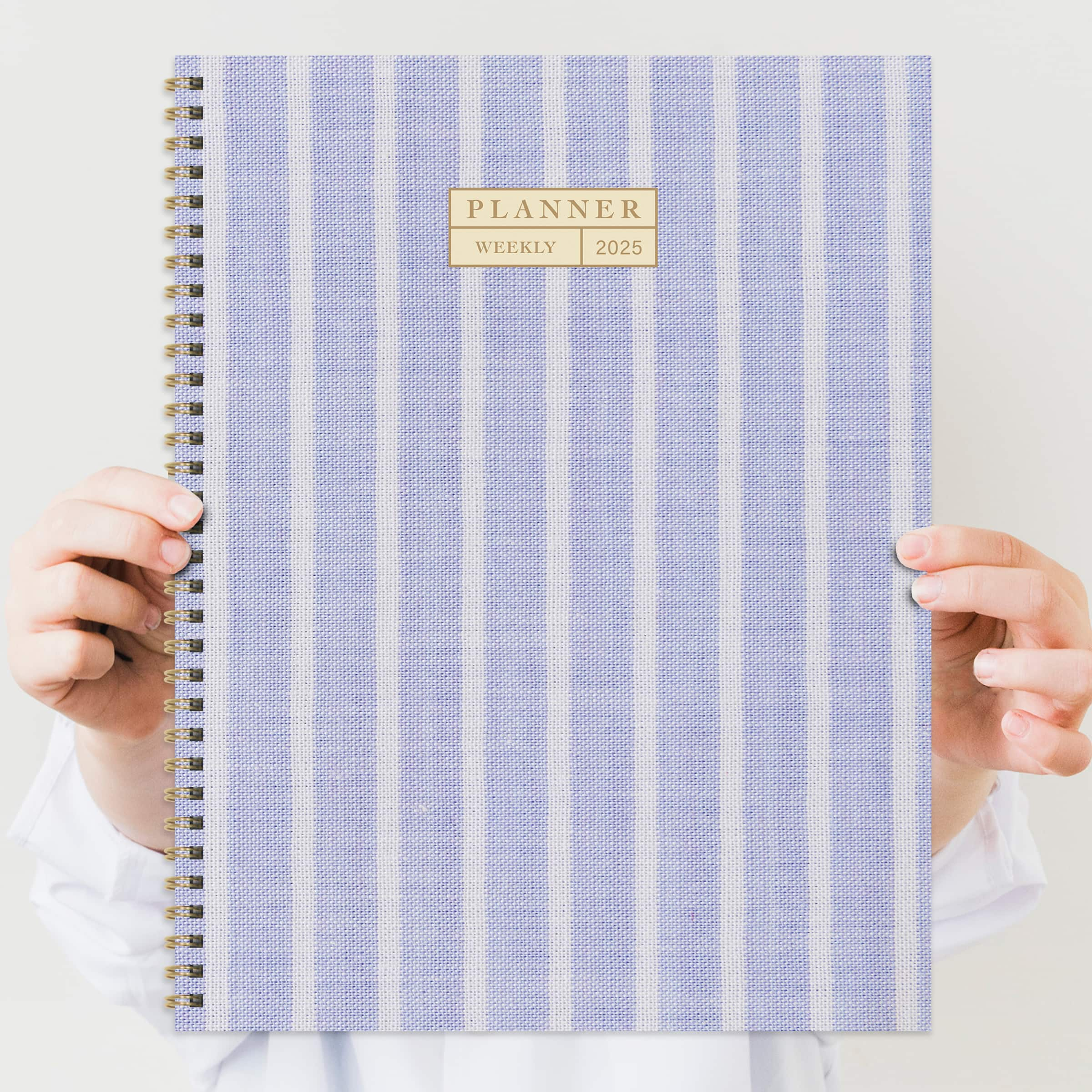 TF Publishing 2025 Large Harper Blue Weekly Monthly Spiral Planner