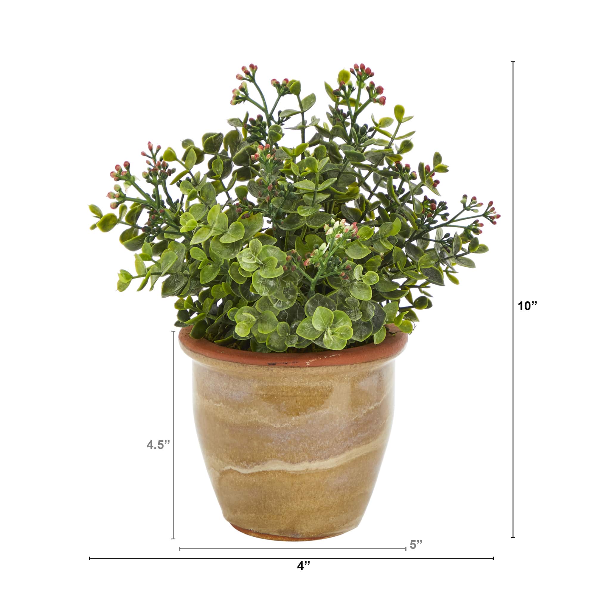 10" Eucalyptus & Sedum Succulent Plant in Ceramic Planter