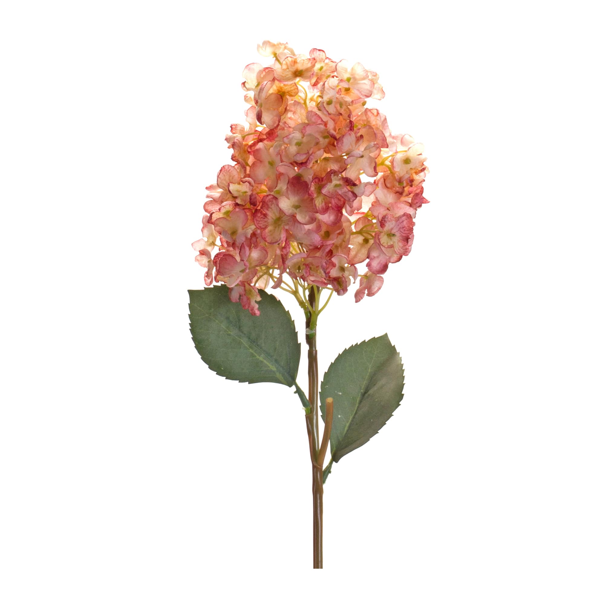 34.5" Cone Hydrangea Stem, 6ct.