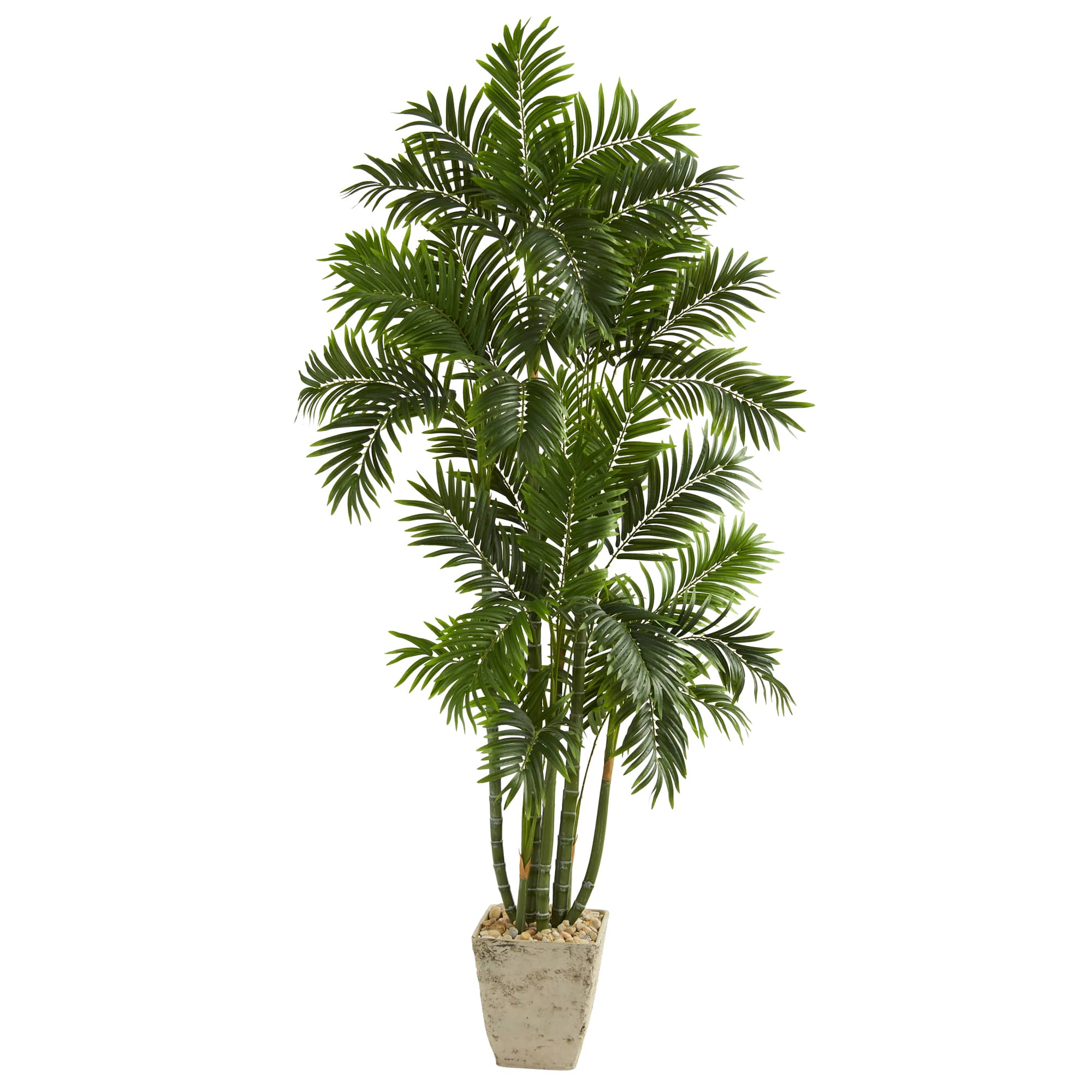 6ft. Areca Palm Tree in Country White Planter | Trees & Floor Plants ...