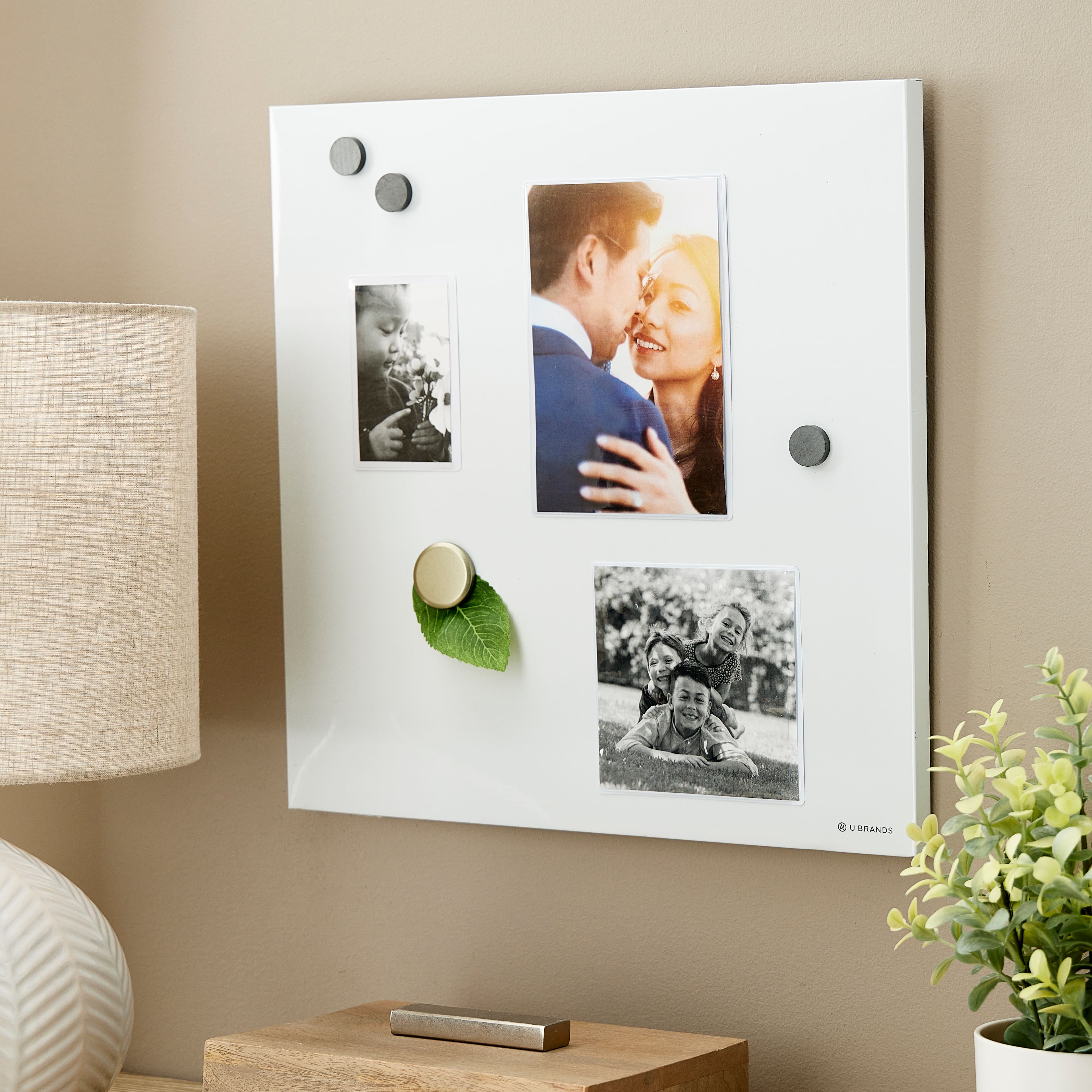 12 Packs: 6 ct. (72 total) Magnetic Photo Frames by Studio D&#xE9;cor&#xAE;