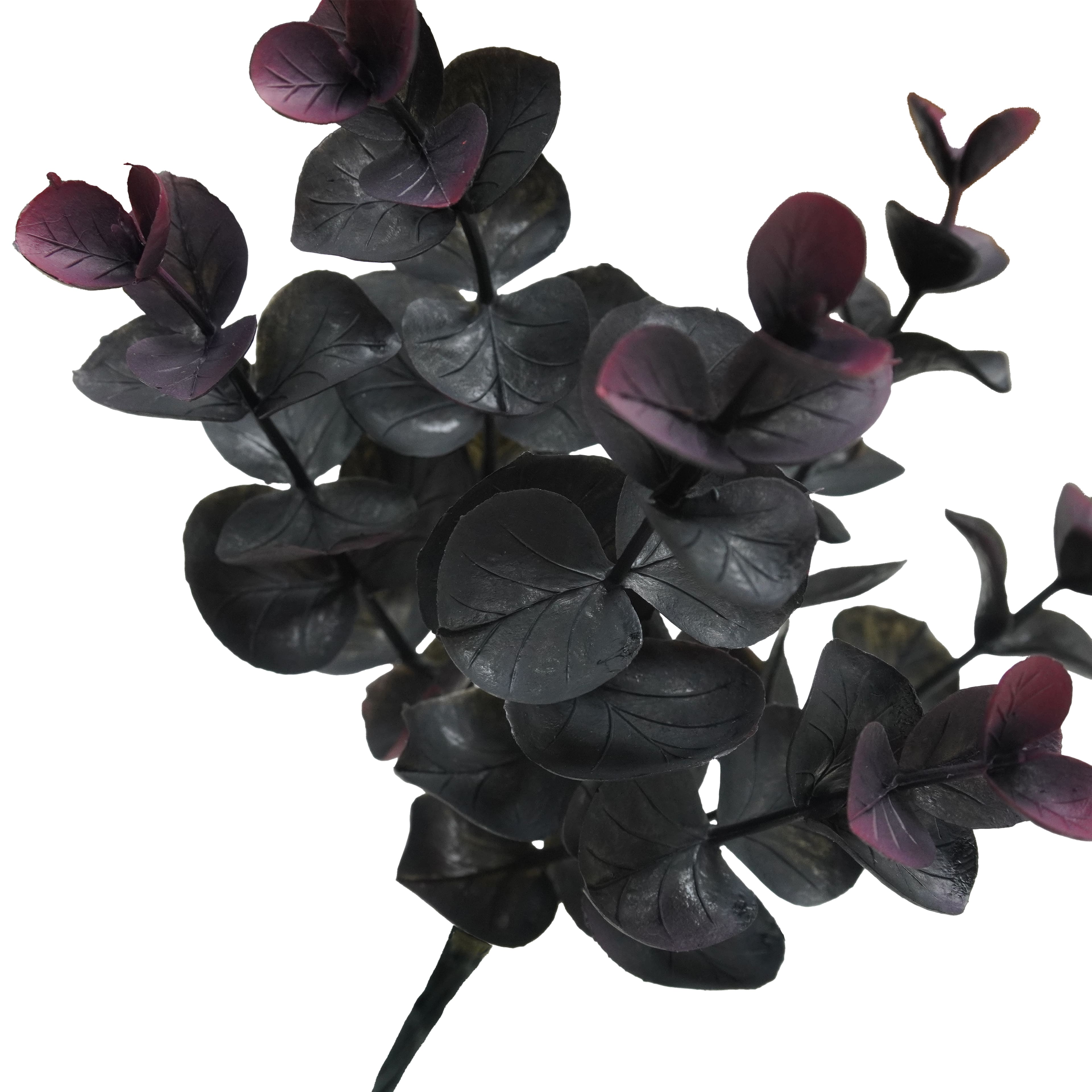 Halloween 8&#x22; Black &#x26; Red Eucalyptus Pick by Ashland&#xAE;