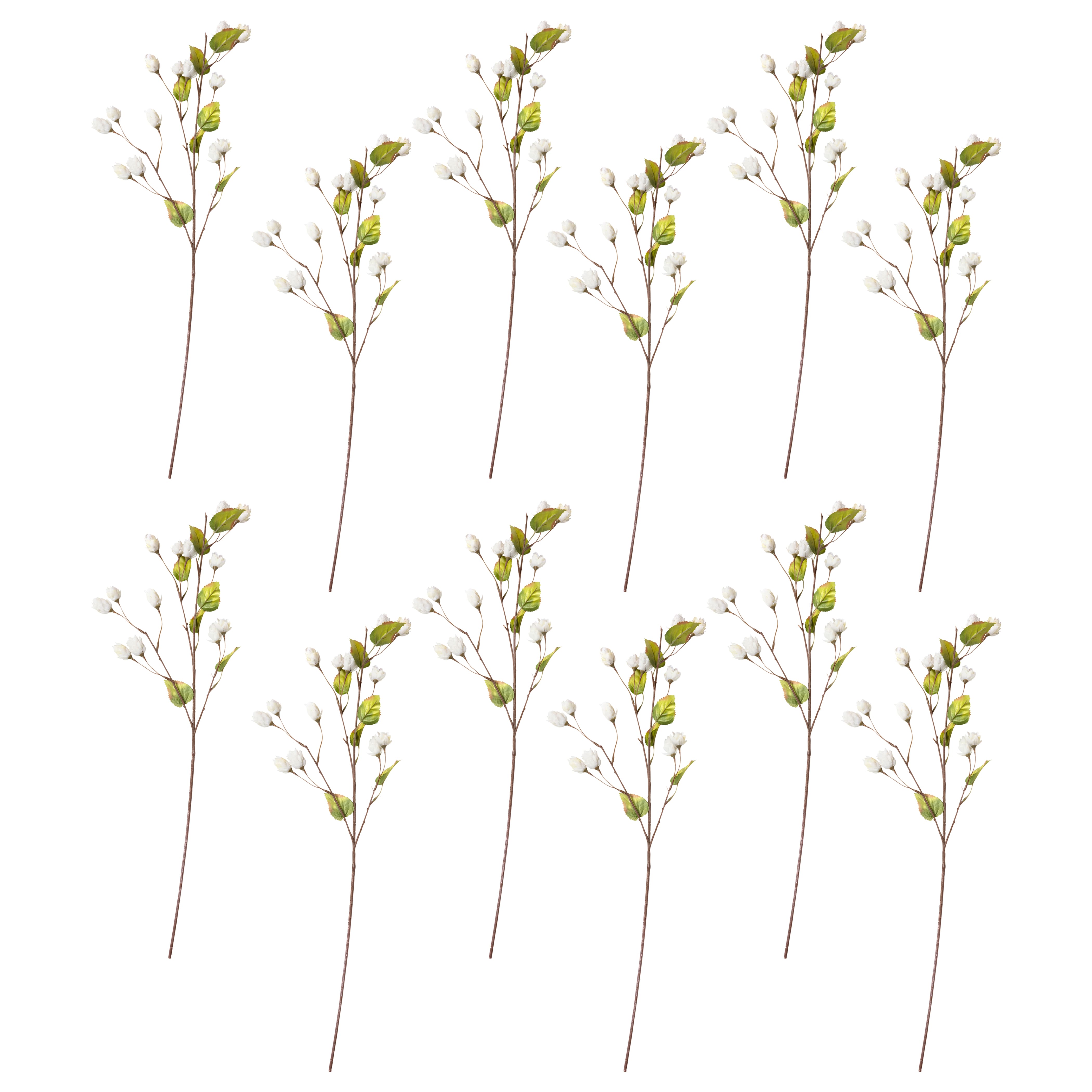 12 Pack: Cream Hops Spray by Ashland&#xAE;