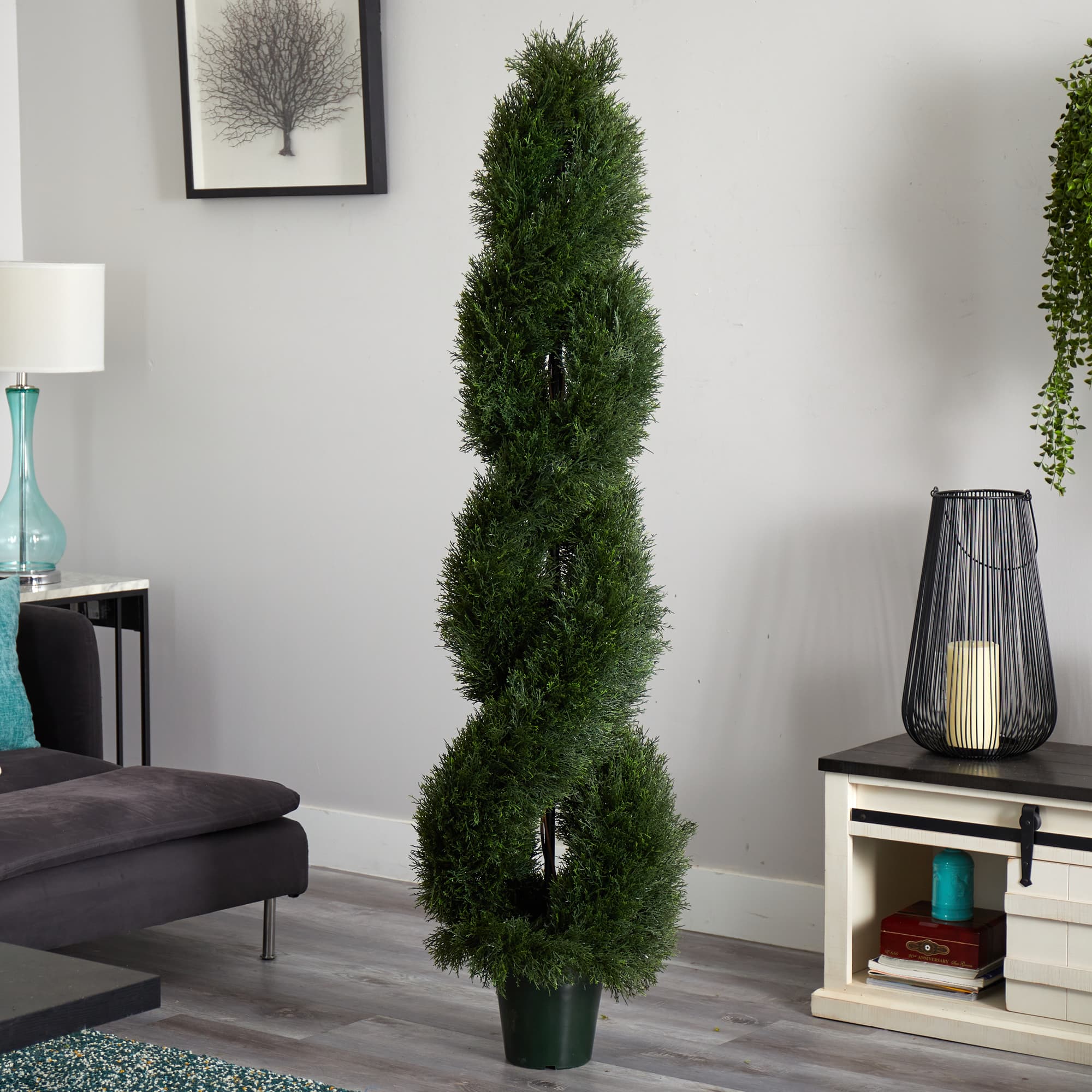 6ft. Potted Double Pond Cypress Spiral Topiary Tree