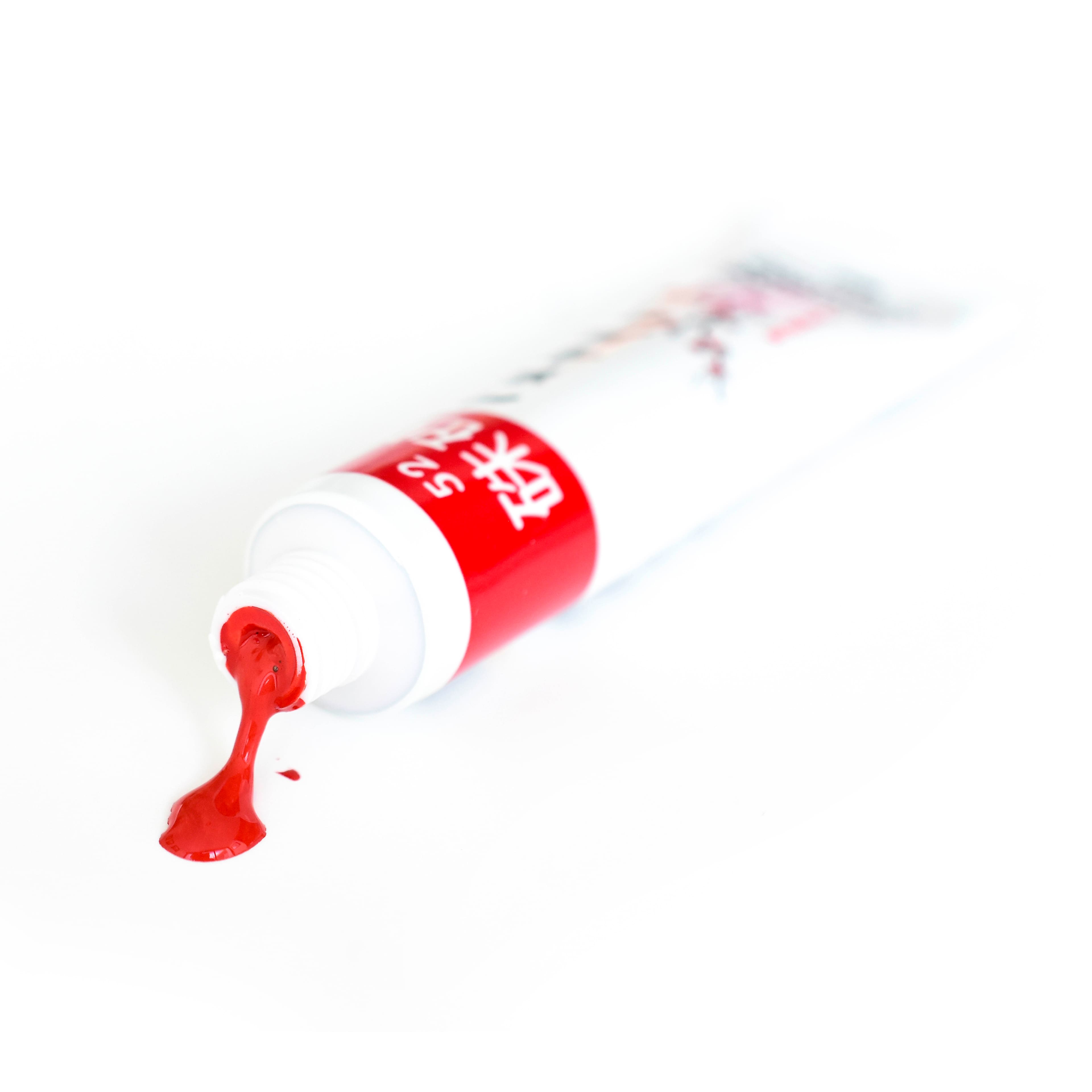 Yasutomo® Authentic Chinese Watercolours Set