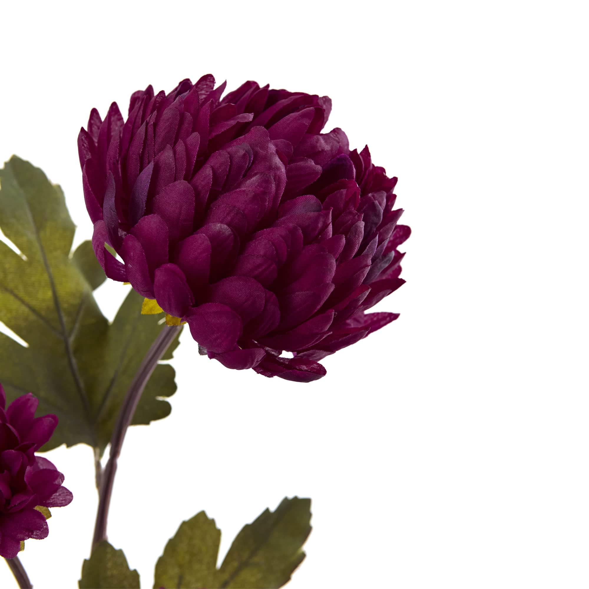 Chrysanthemum Flower Spray