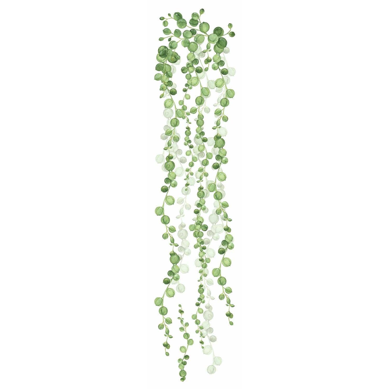 RoomMates String Of Pearls Vine Peel & Stick Wall Decals