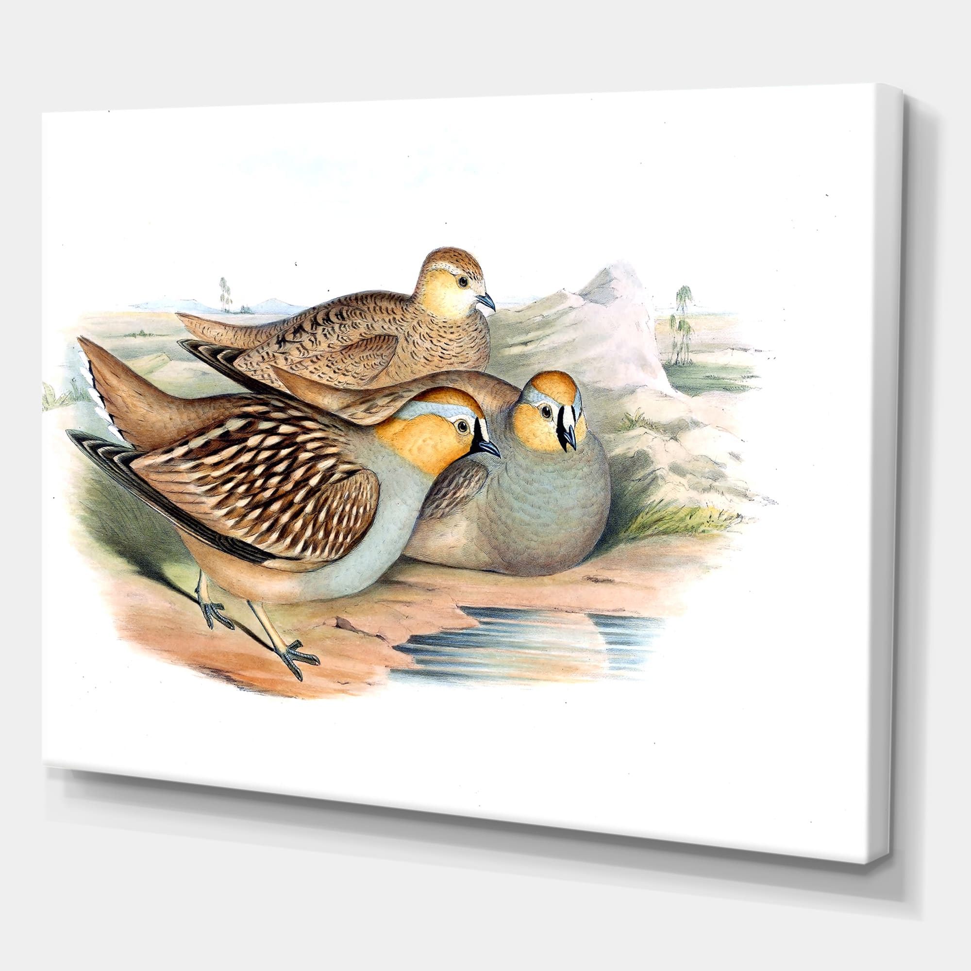 Designart - Vintage Birds In The Wild III - Traditional Canvas Wall Art Print
