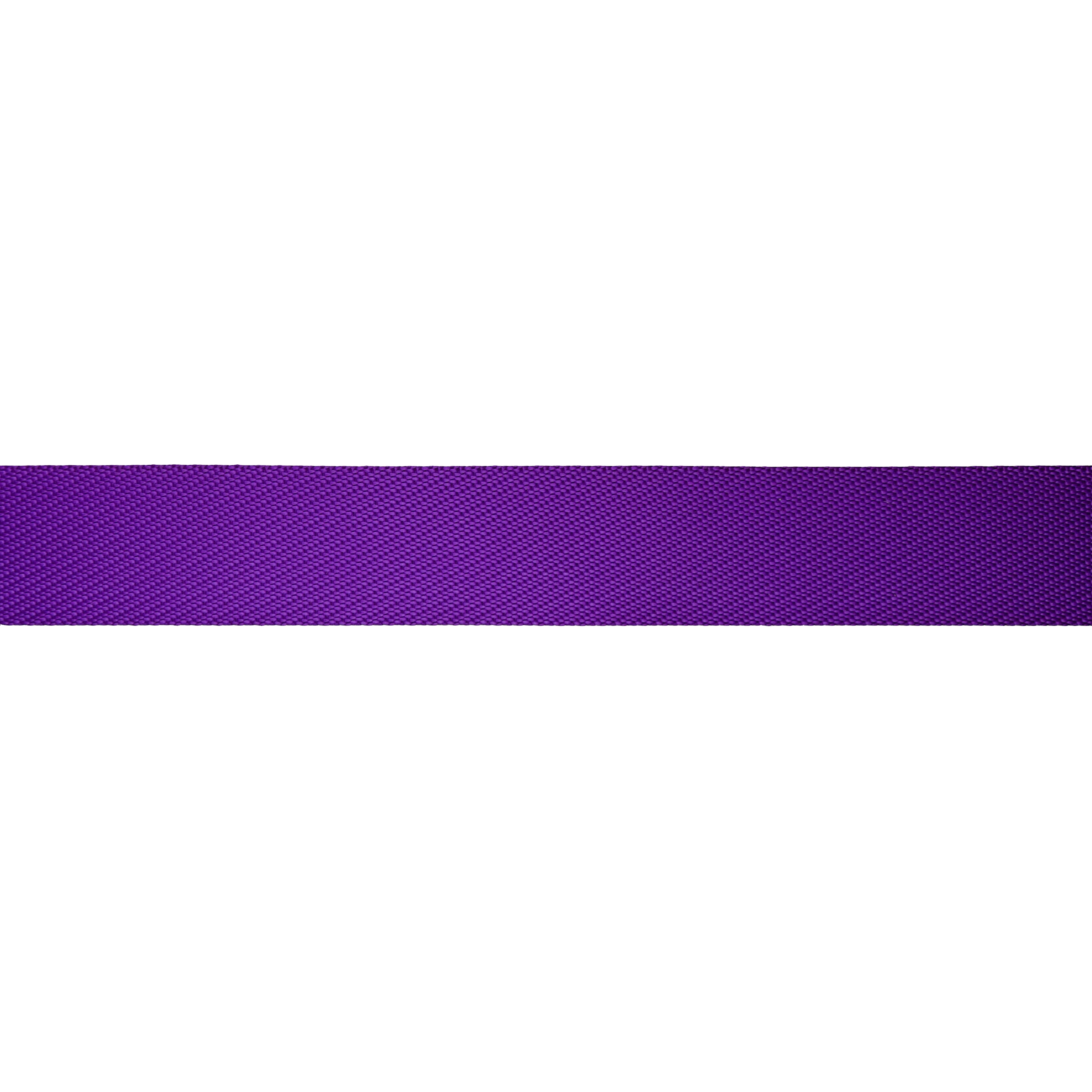 1.5&#x22; Belting Trim by Celebrate It&#xAE;