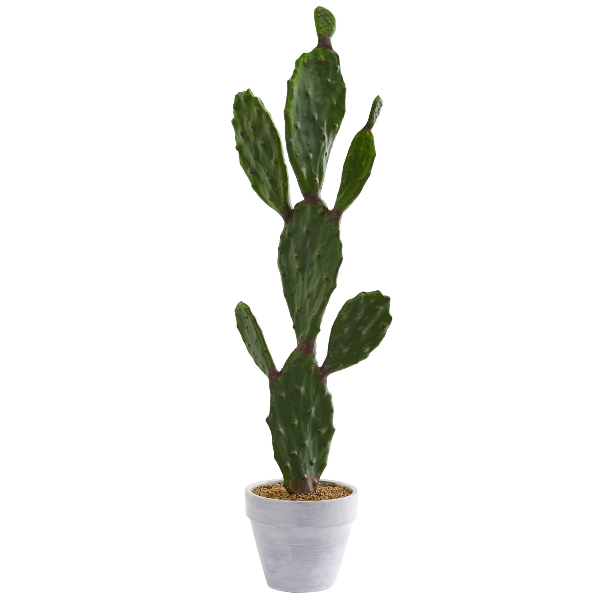 3ft. Cactus Plant in White Planter