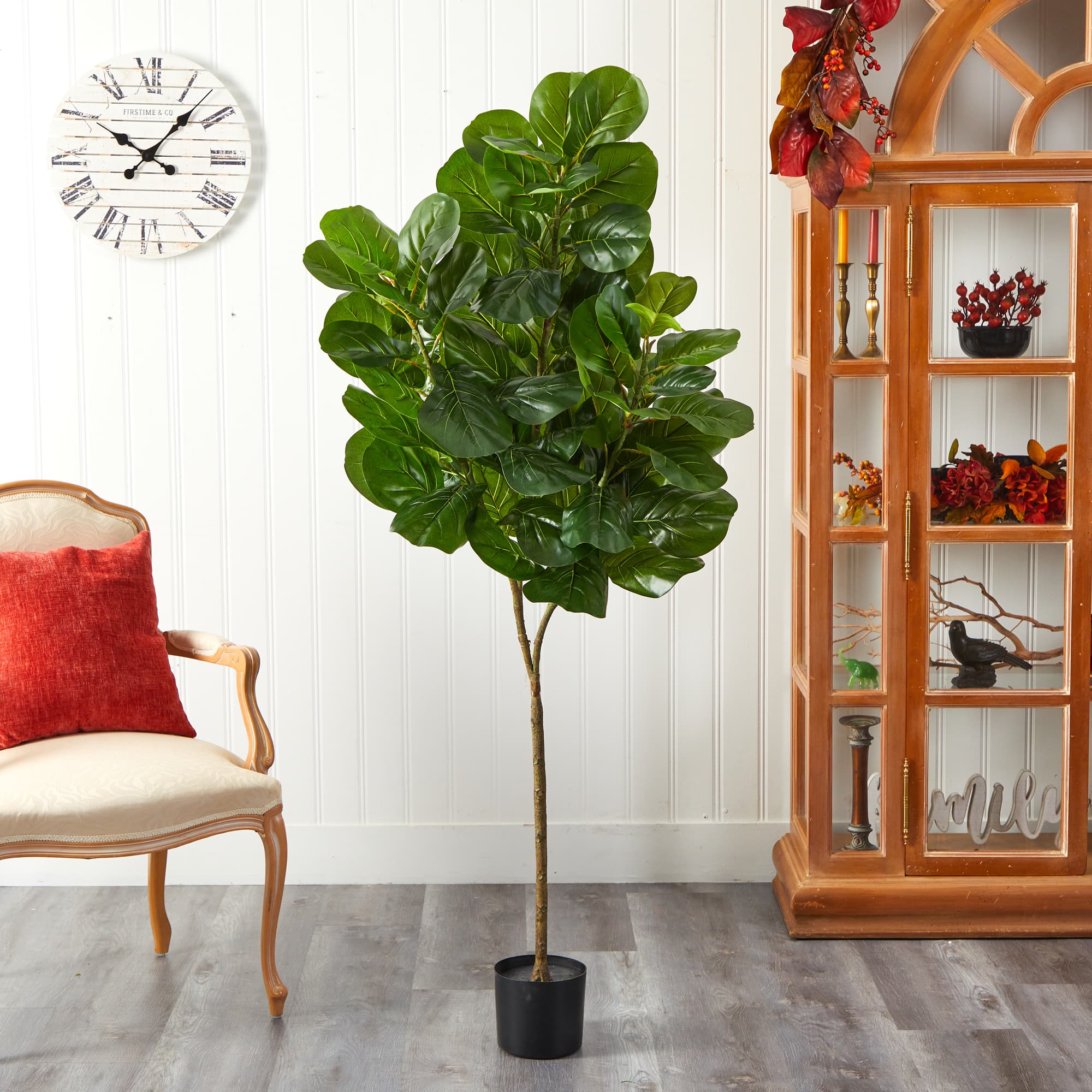 6ft. Potted Fiddle Leaf Fig Tree