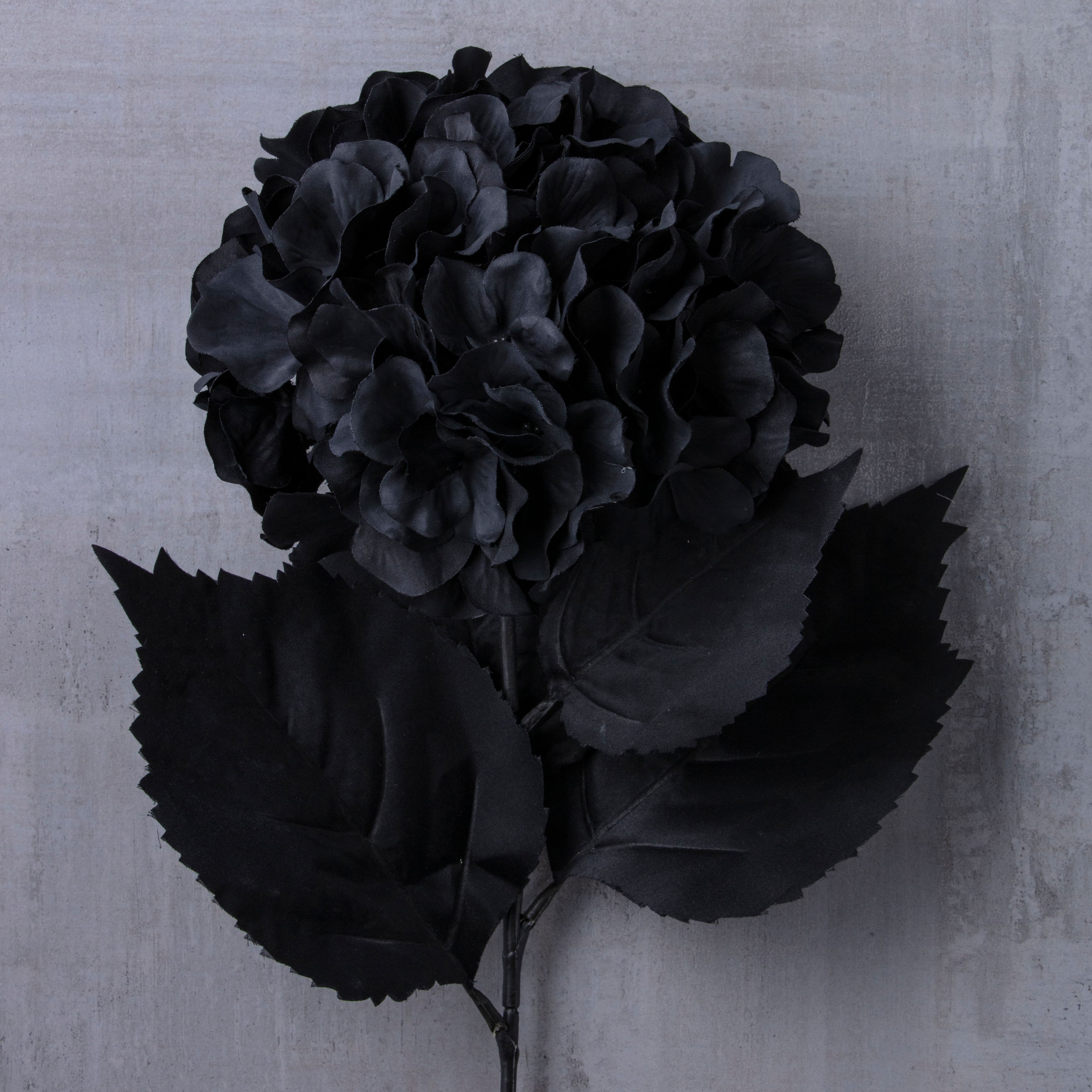 12 Pack: Black Hydrangea Stem by Ashland®