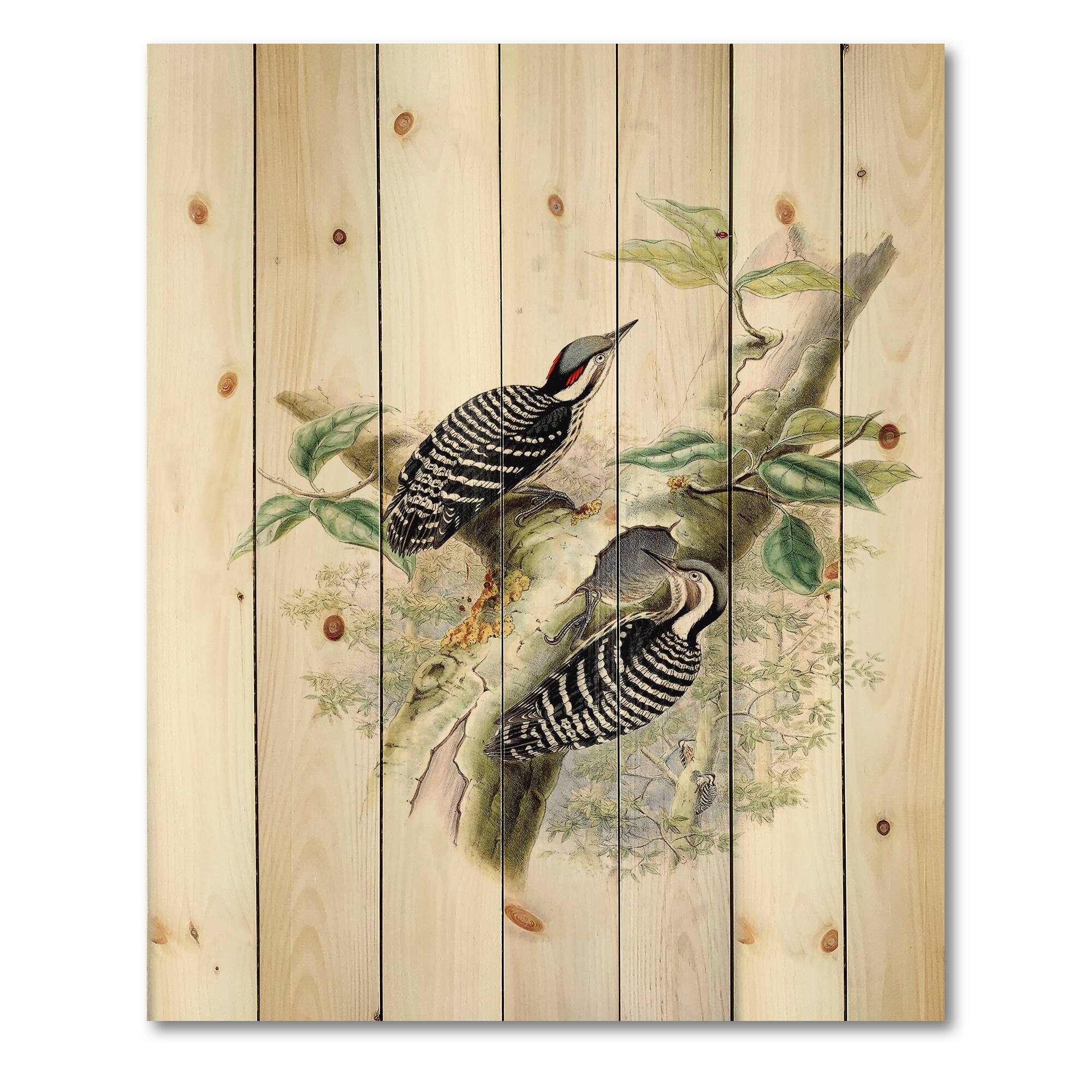 Designart - Vintage Birds In The Wild V - Traditional Print on Natural Pine Wood
