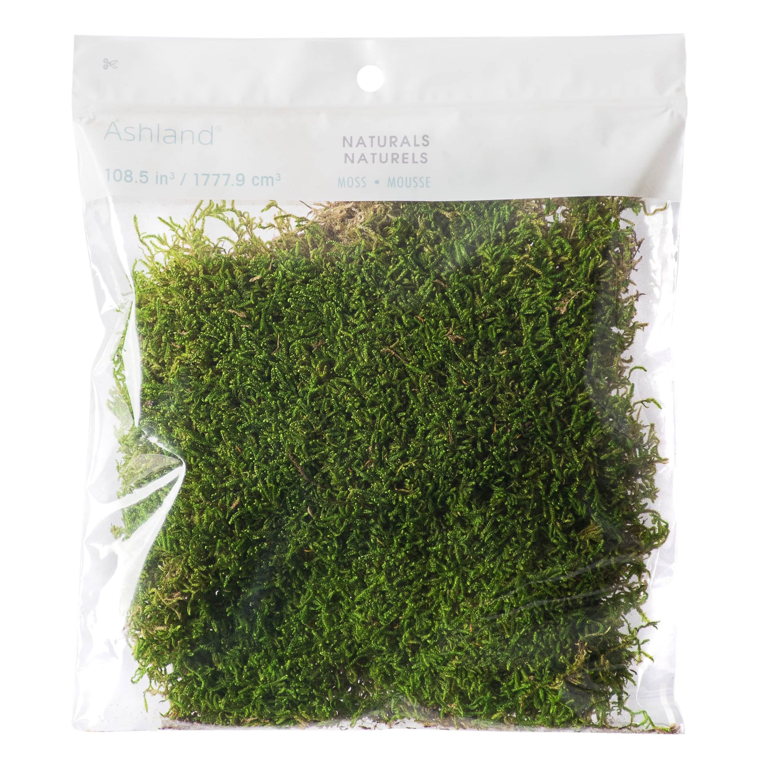 12 Pack: Forest Green Preserved Moss by Ashland® | Michaels