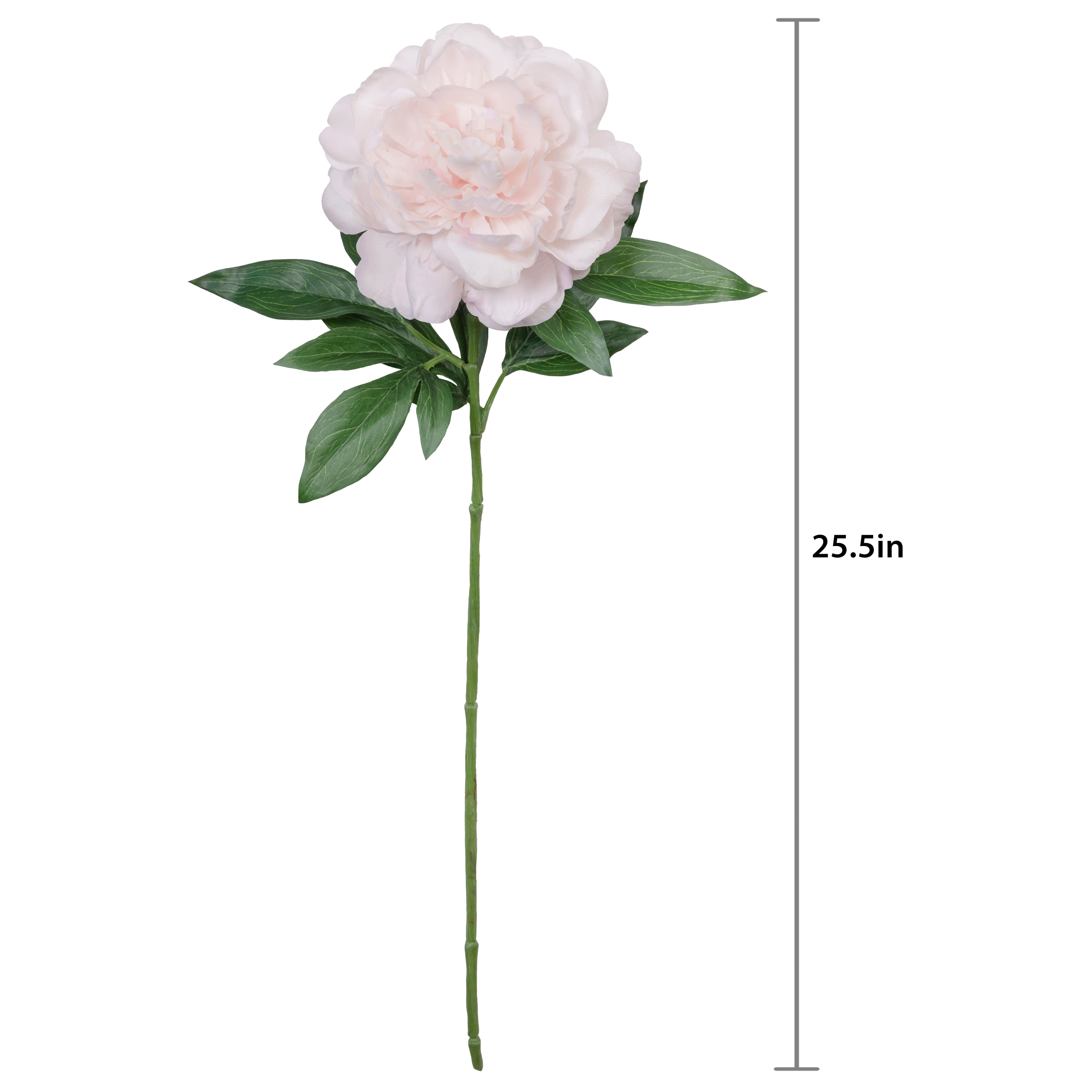 25.5" Peony Real Touch Stem by Ashland