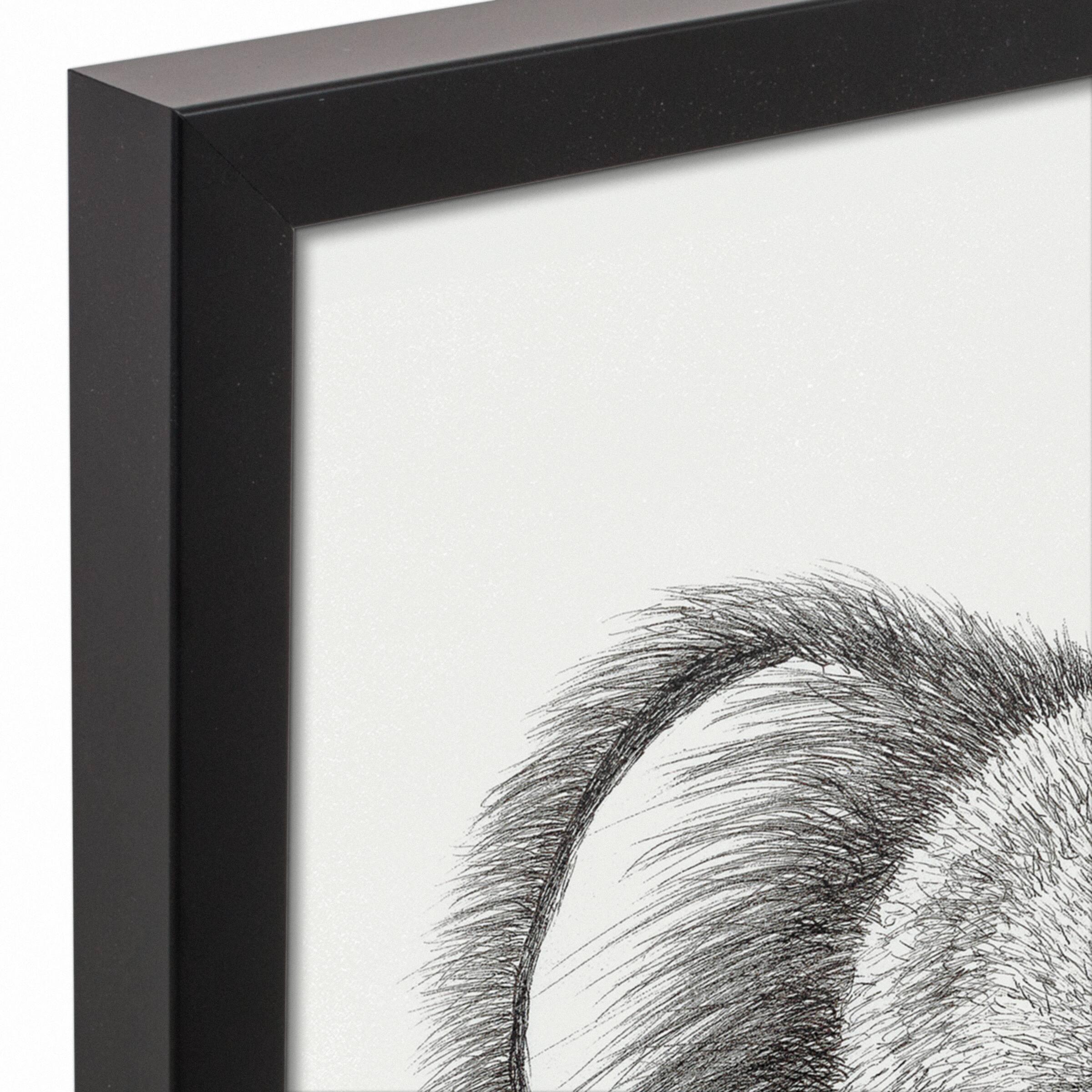 Pacifier Koala 16" x 16" Black Framed Canvas