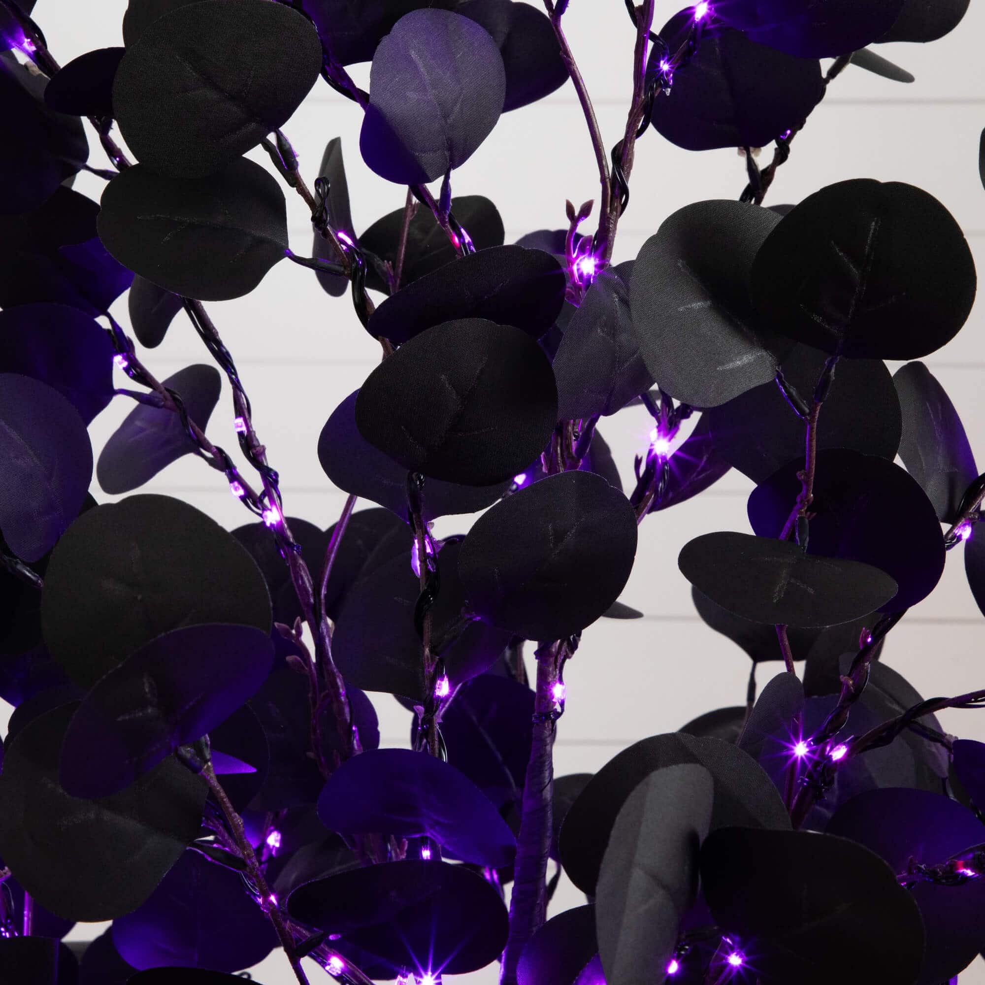 6ft. Pre-Lit Artificial Halloween Black Eucalyptus Tree with 300 Orange &#x26; Purple LED Lights