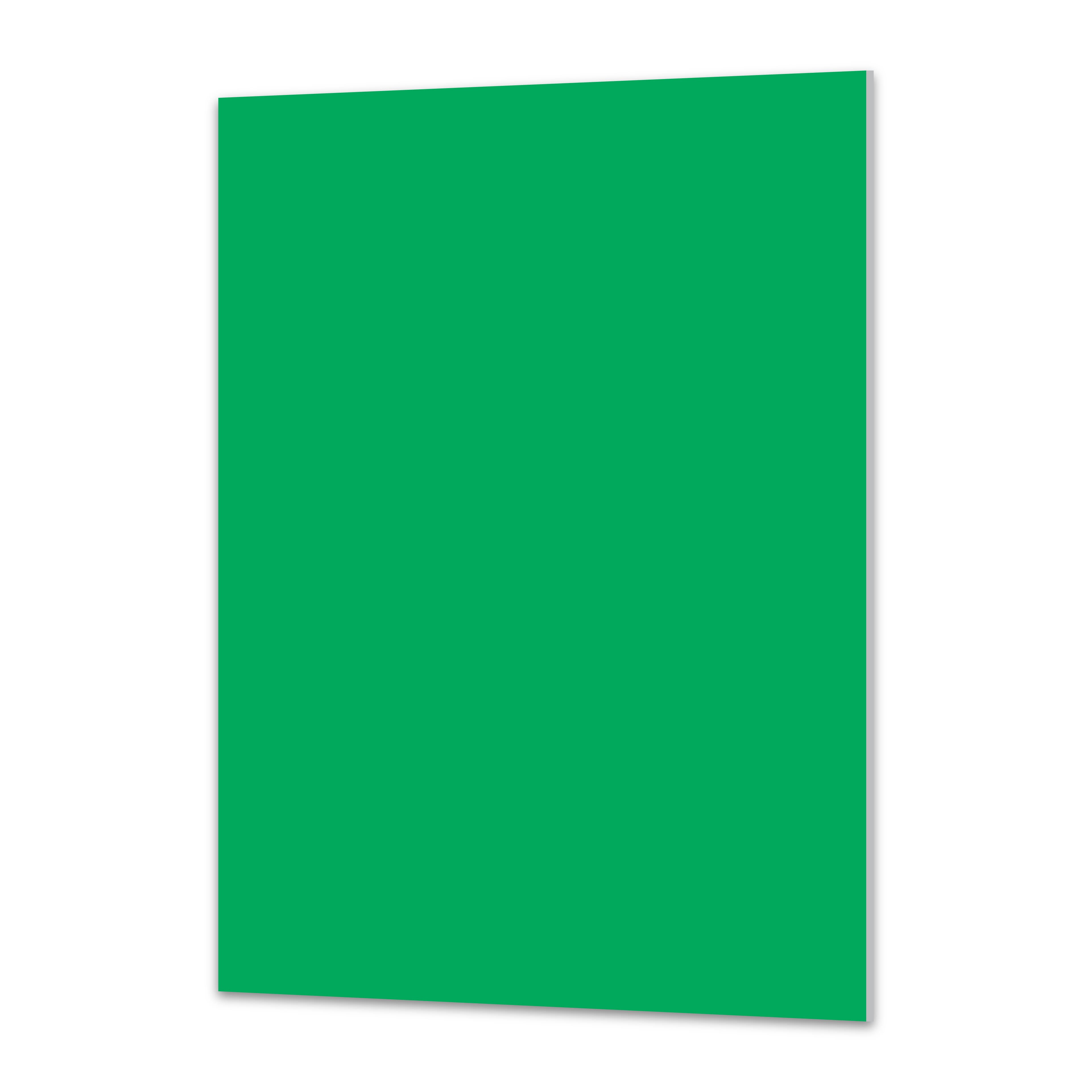 Royal Brites&#xAE; 20&#x22; x 30&#x22; Foam Board