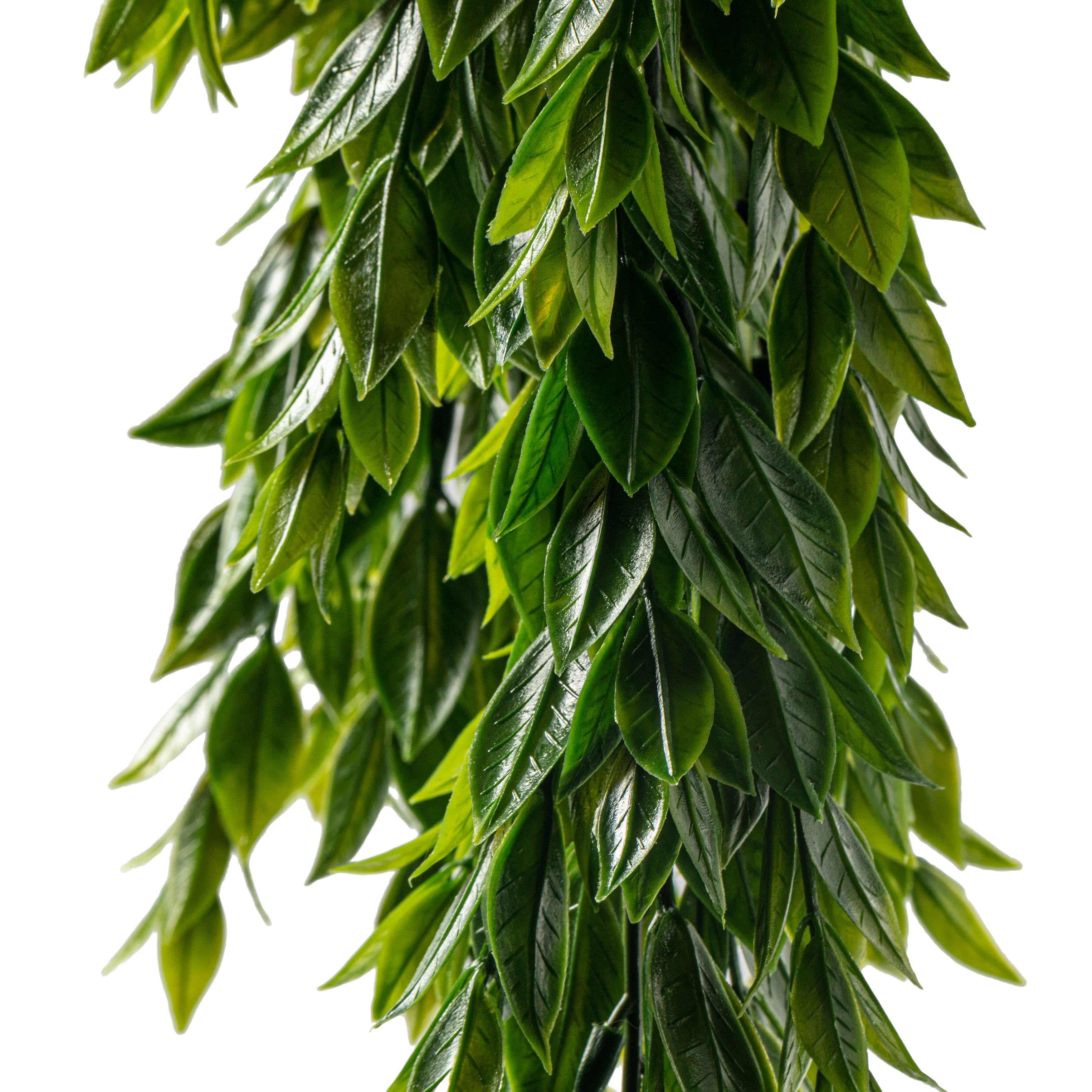 Hanging Ruscus Bush by Ashland®