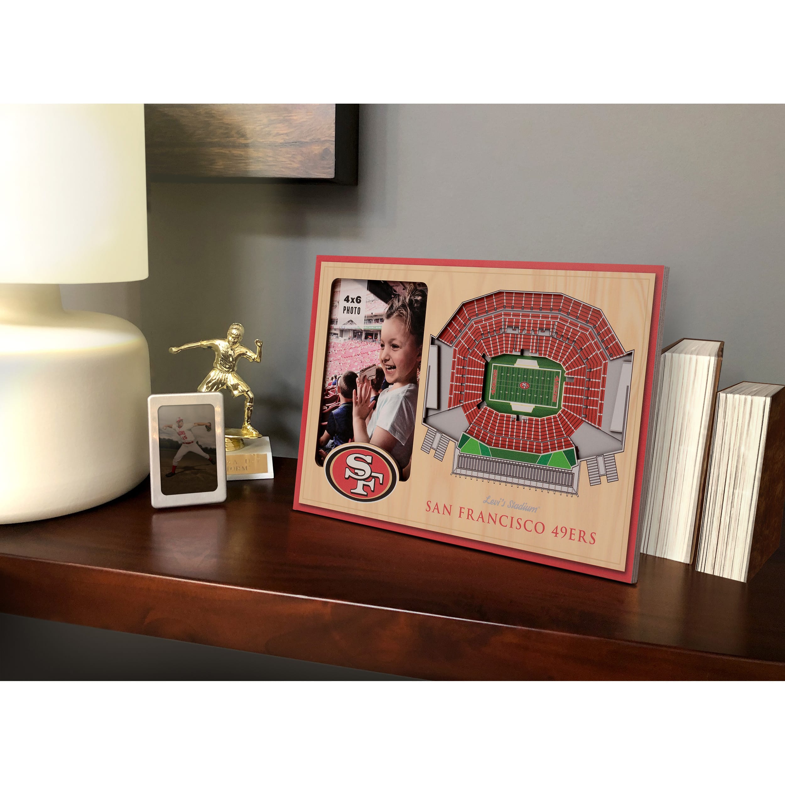 NFL 3D StadiumViews Picture Frame