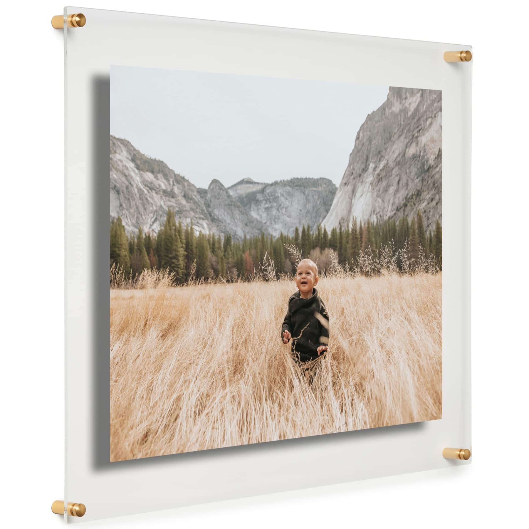 Cool Modern Frames Clear Acrylic Float Frame with Gold Hardware