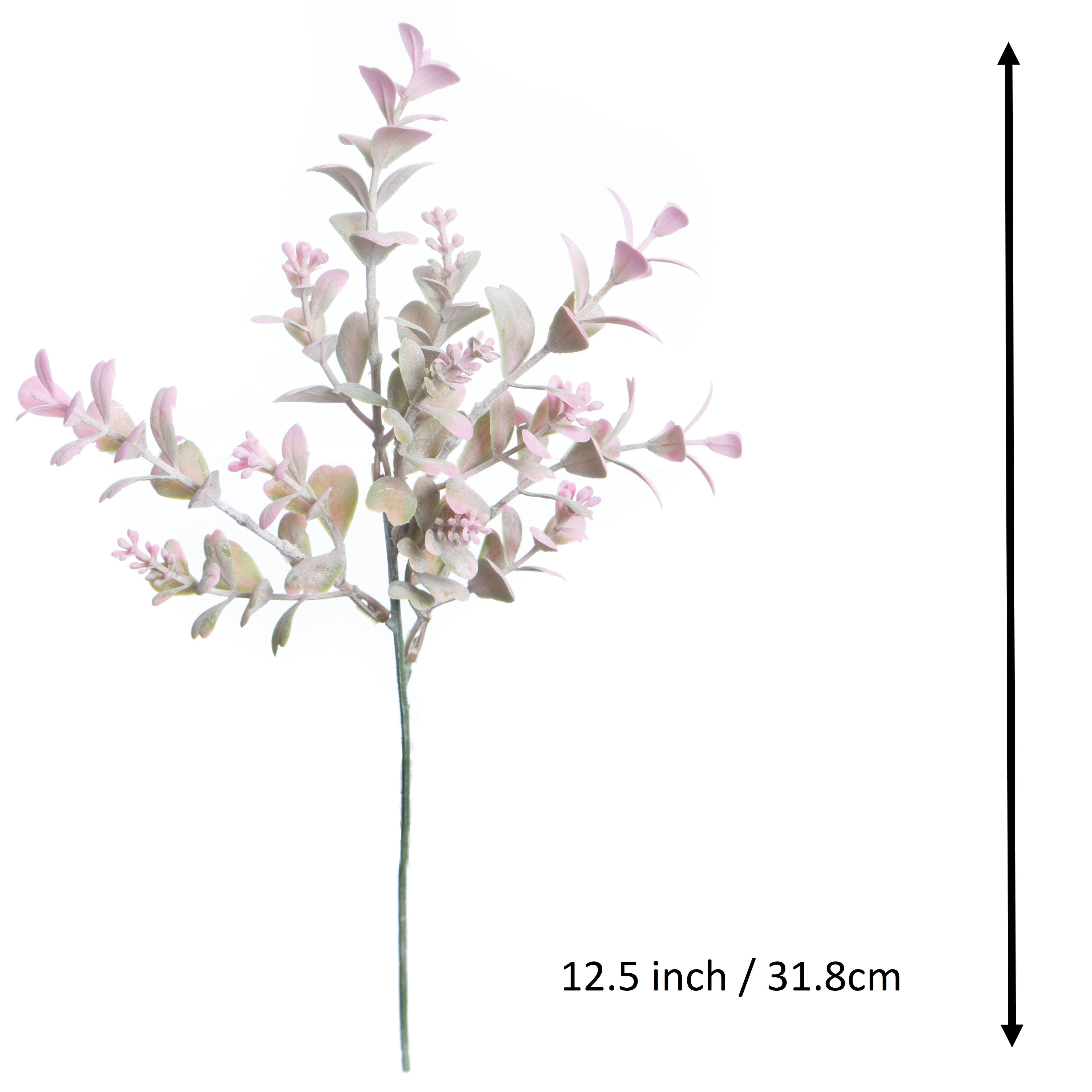 12.5&#x22; Boxwood Pick by Ashland&#xAE;