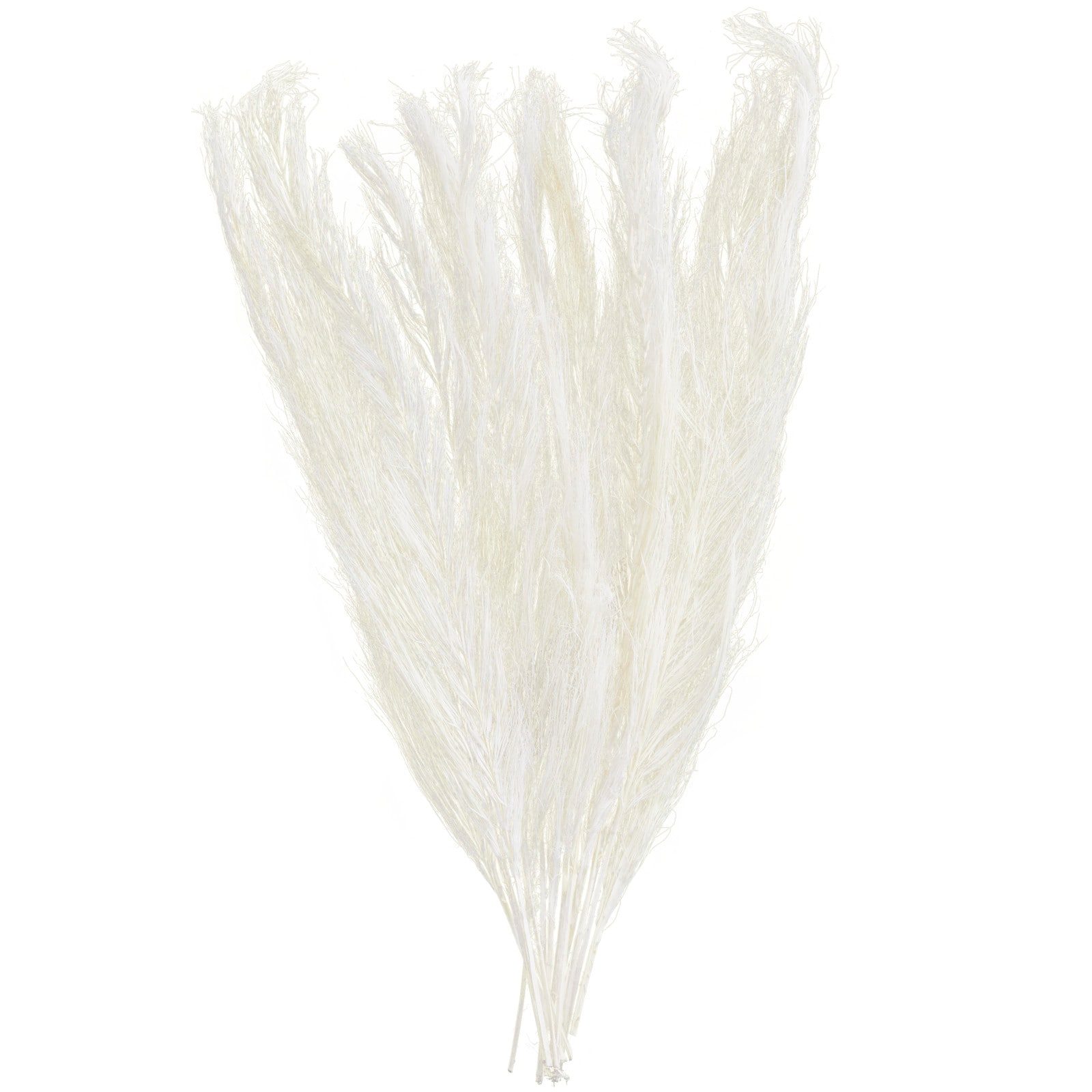 35" Natural Dried Palm Leaf Bundle with Feather-Inspired Stems