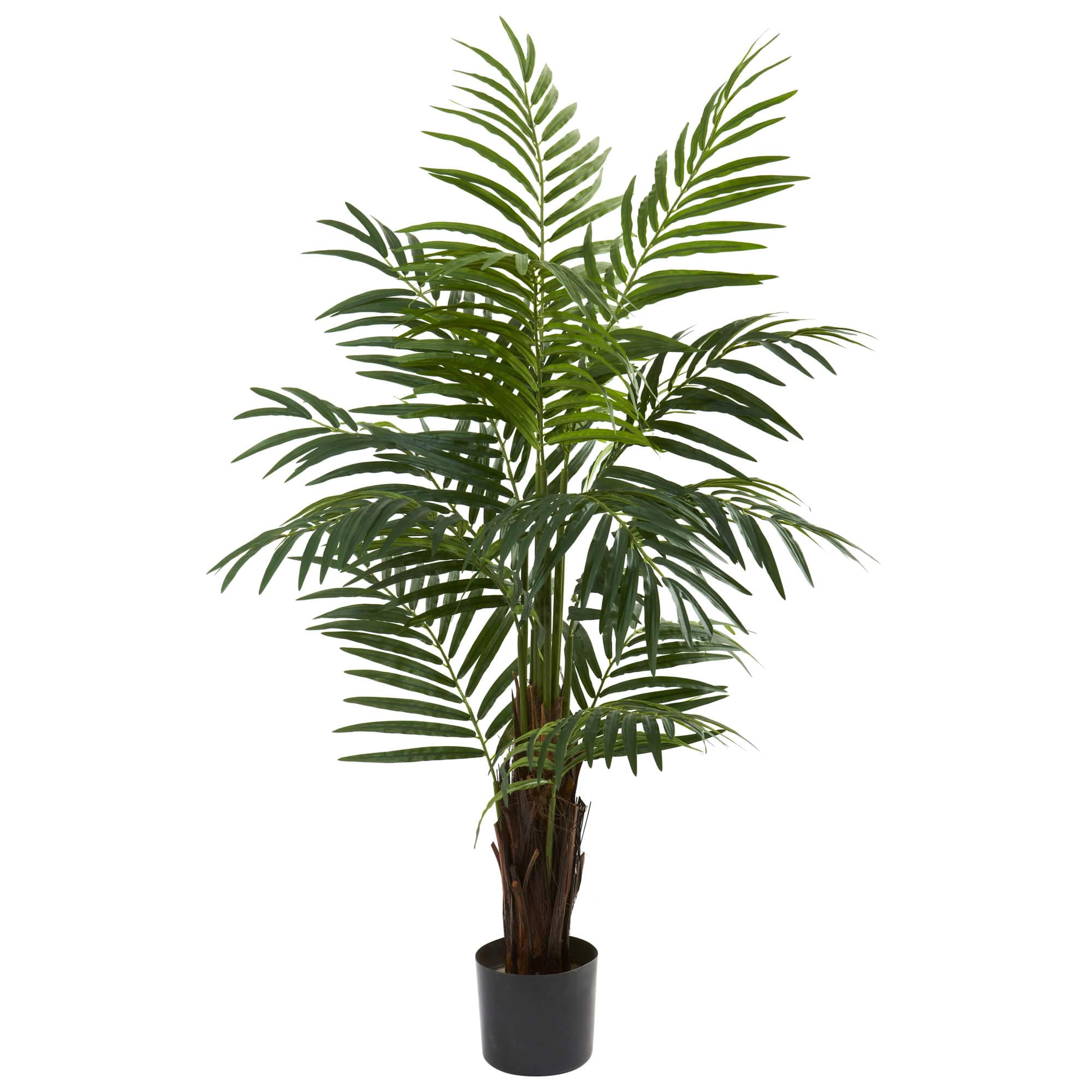 4ft. Potted Areca Palm Tree