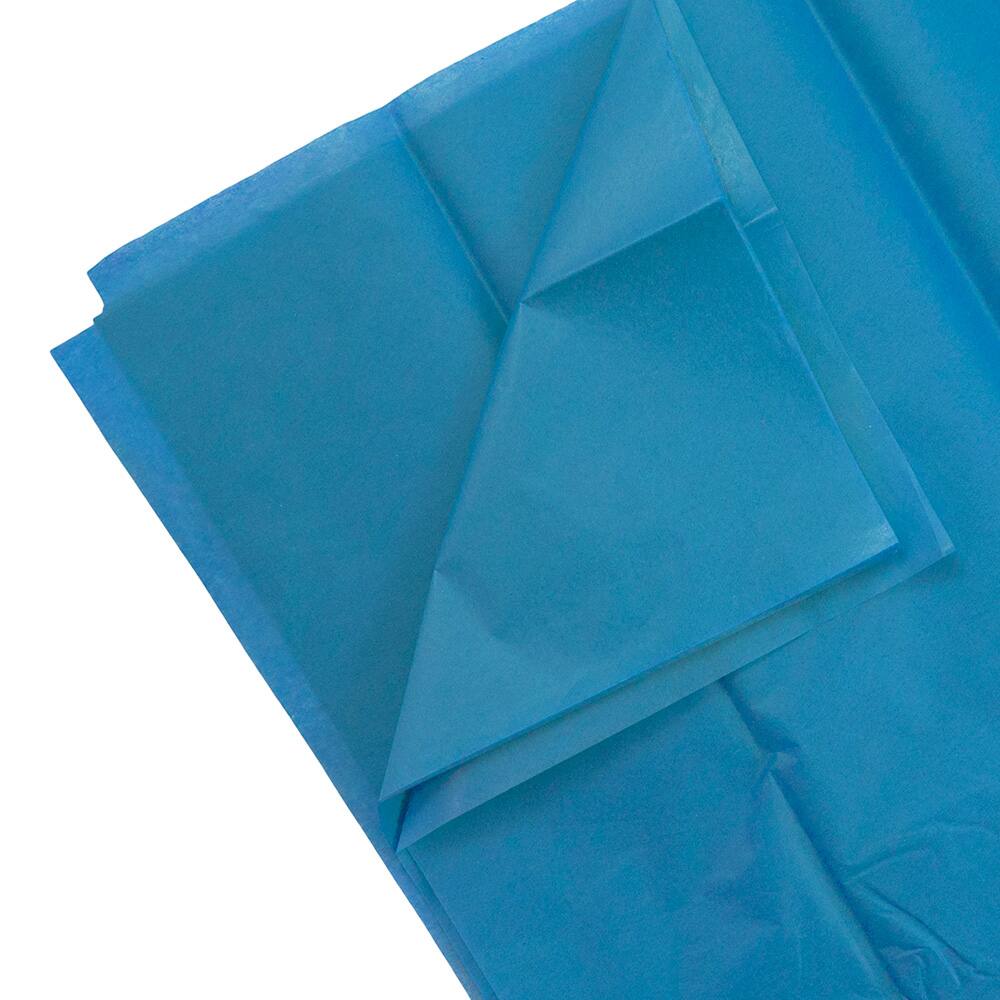 JAM Paper 20" x 26" Tissue Paper, 2 Packs of 10 Sheets
