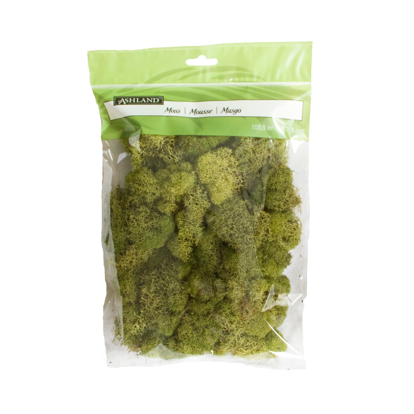 12 Pack: Spring Green Reindeer Moss by Ashland®