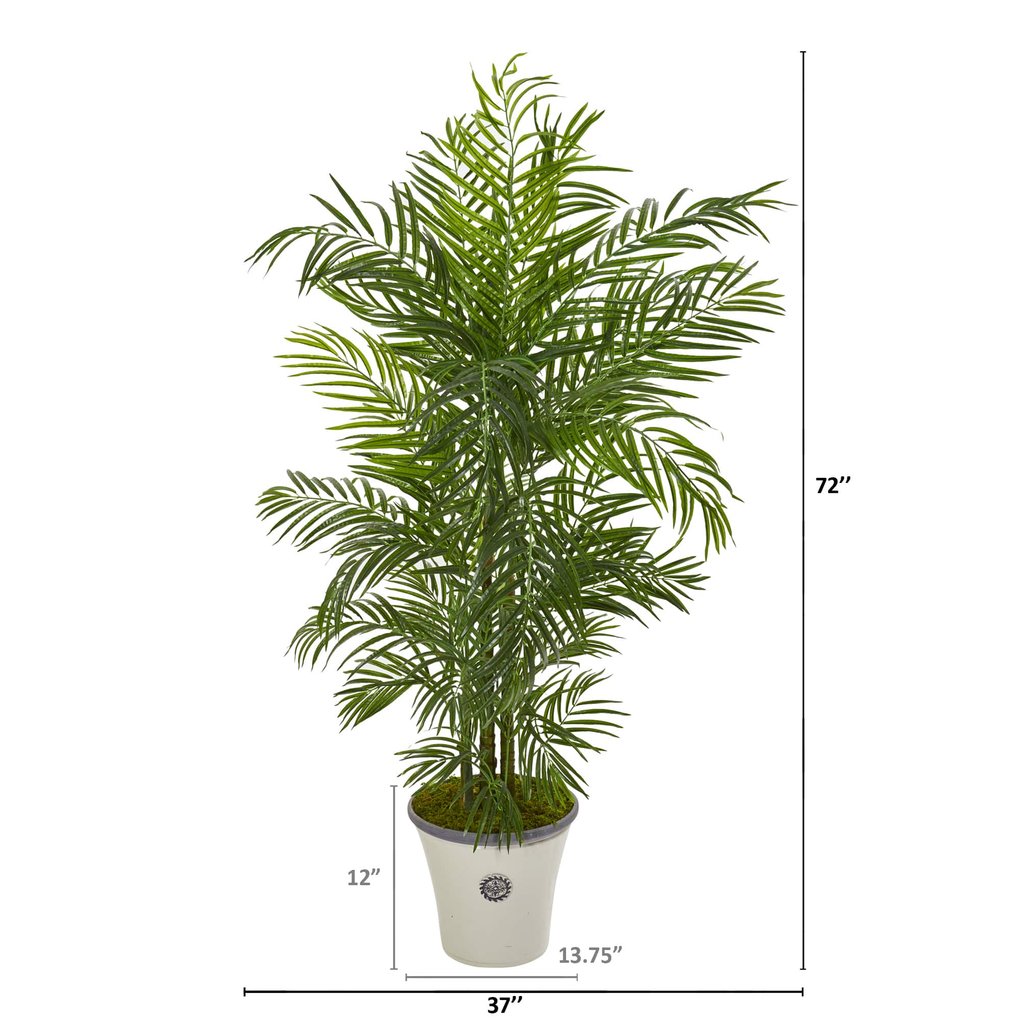 6ft. Areca Palm Tree in White Planter