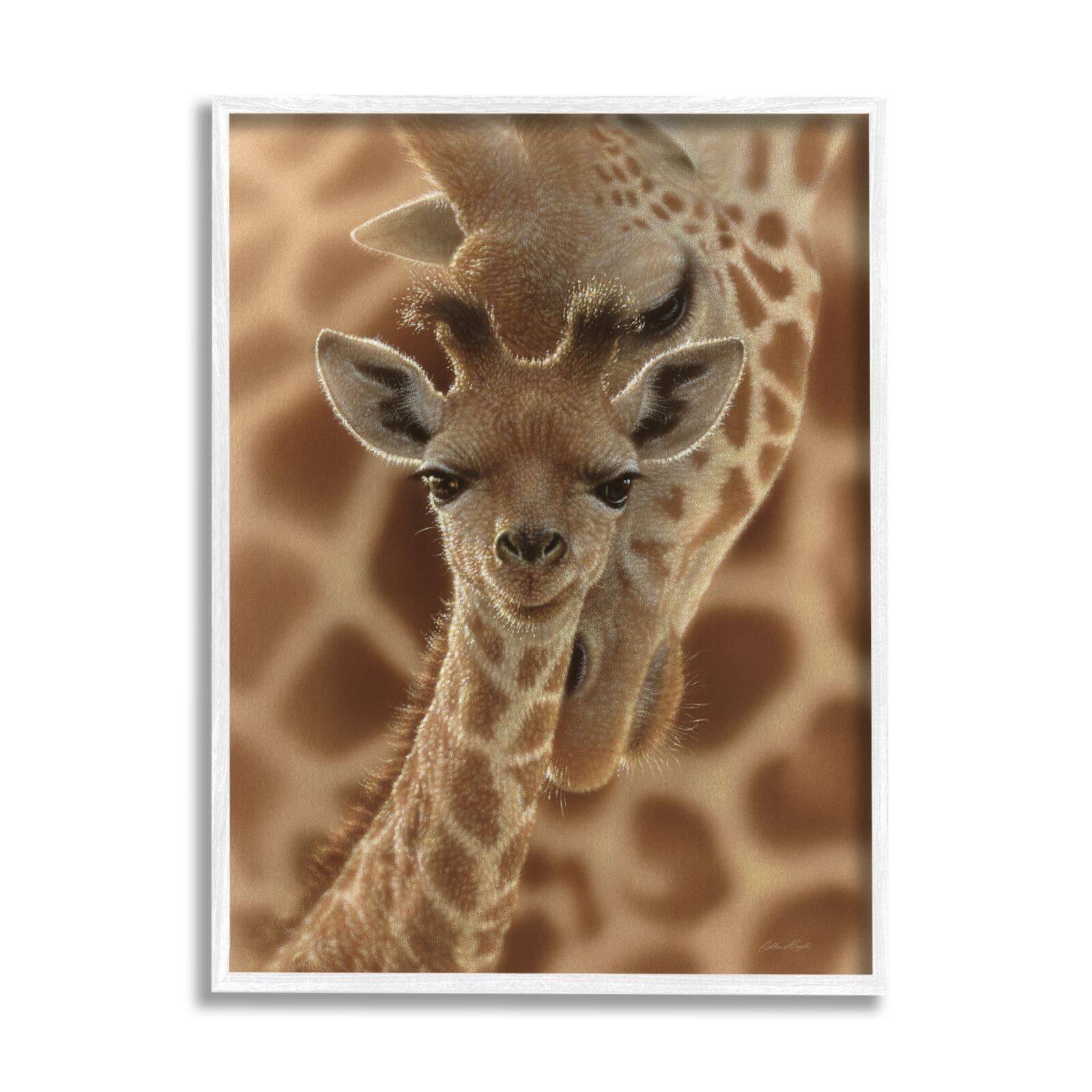 Stupell Industries Baby Giraffe with Mother Patterned Safari Animal Hug Framed Wall Art