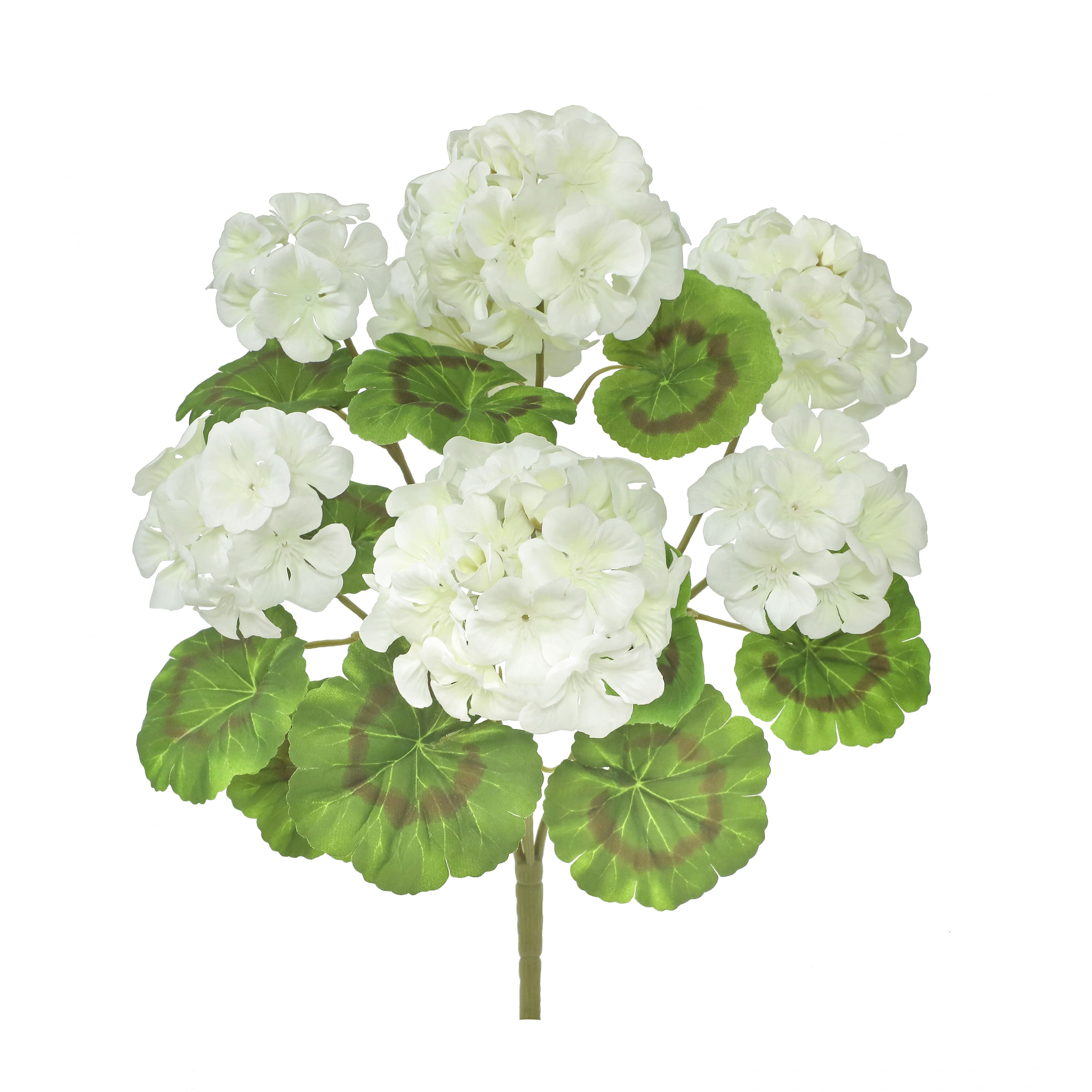 18.5&#x22; Geranium Bush by Ashland&#xAE;