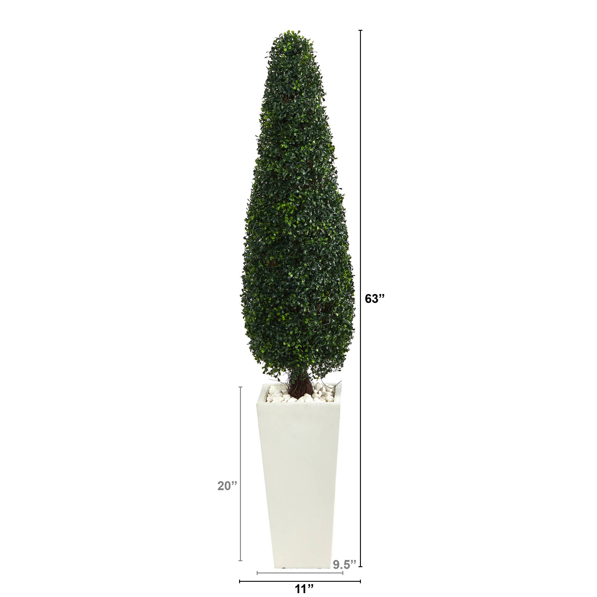 5.25ft. Boxwood Topiary in Tall White Planter