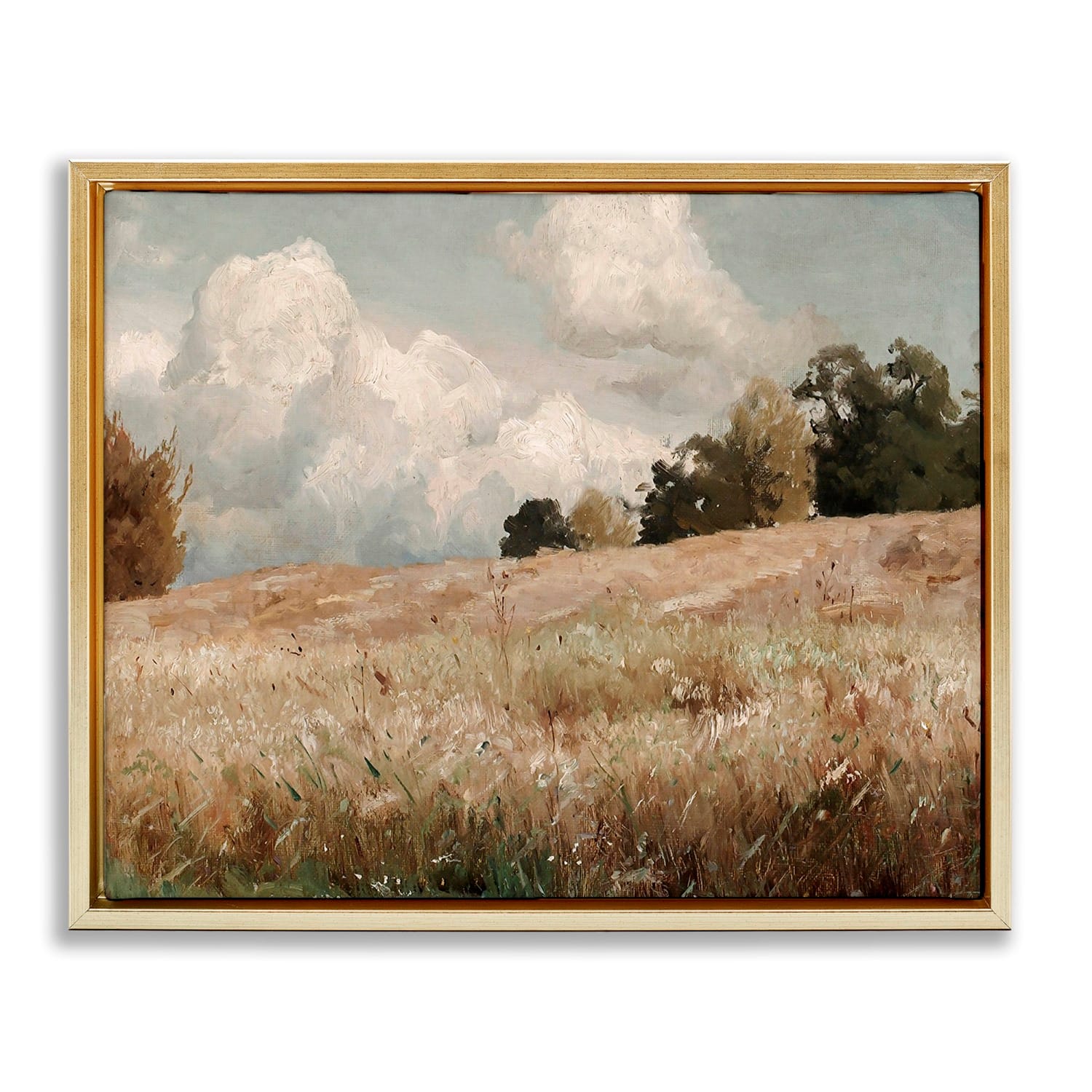 Stupell Industries Classic Cloudy Field Landscape Floater Framed Art