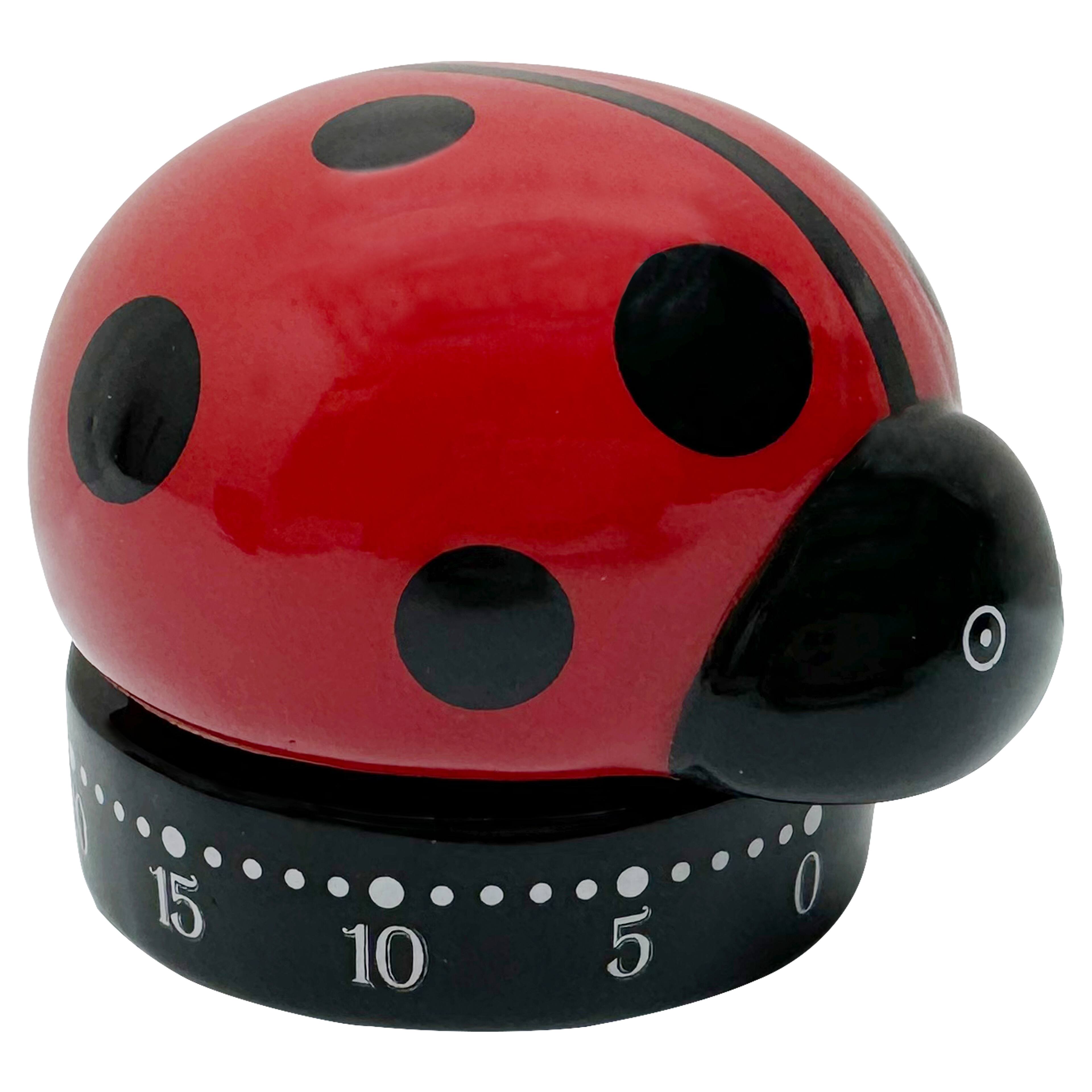 Ceramic Ladybug Timer by Ashland&#xAE;
