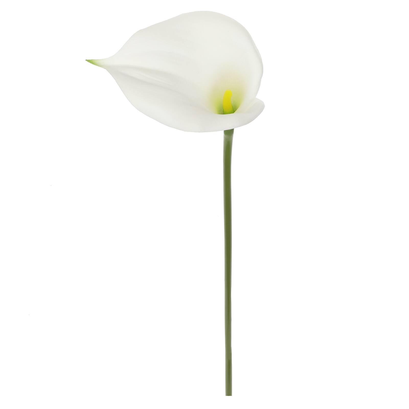 White Calla Lily Stem by Ashland&#xAE;