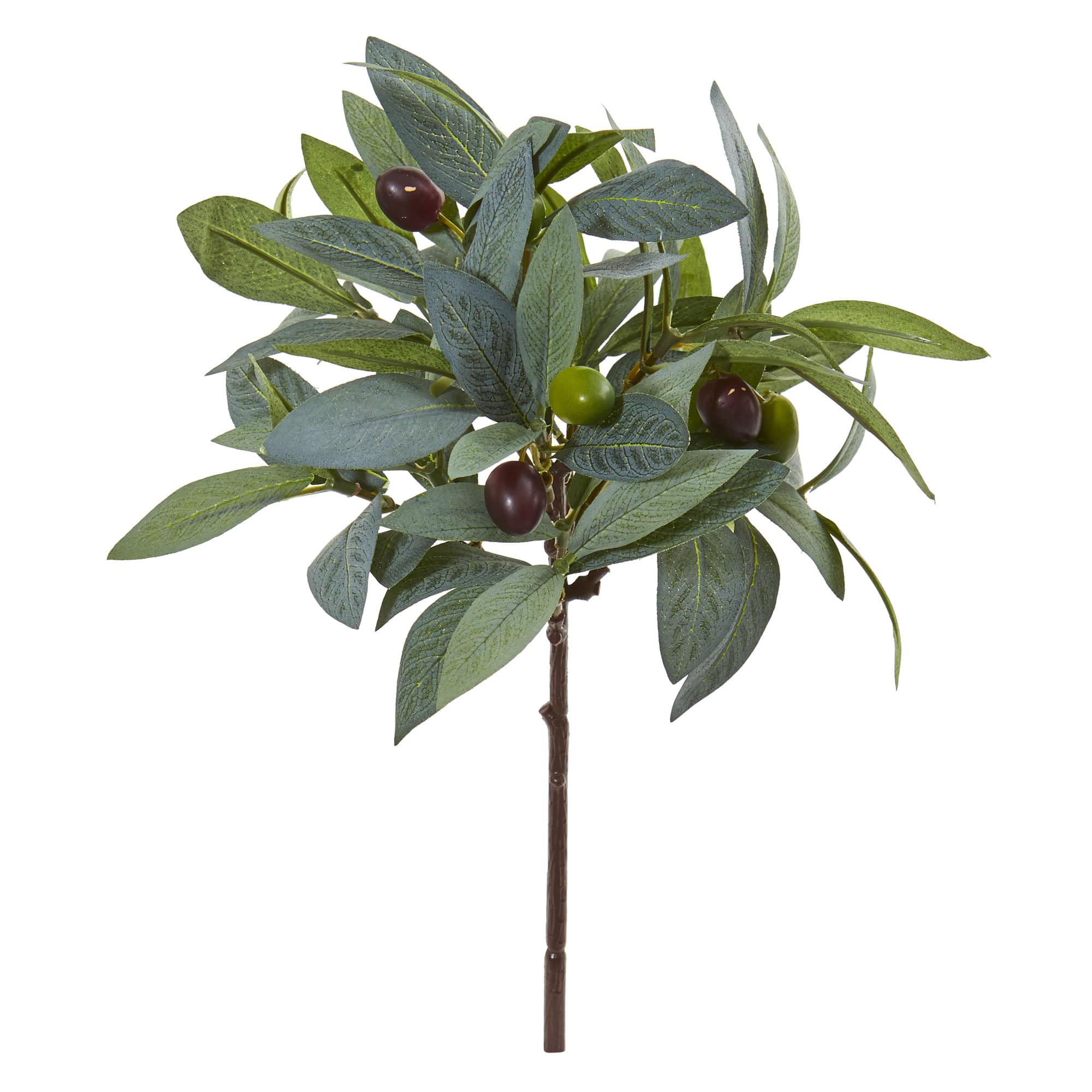 Olive Branch Pick, 12ct.
