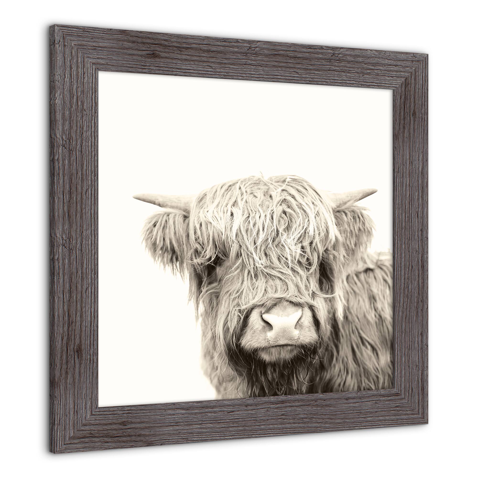 Shaggy Bangs Highland Cow Framed Print Wall Hanging