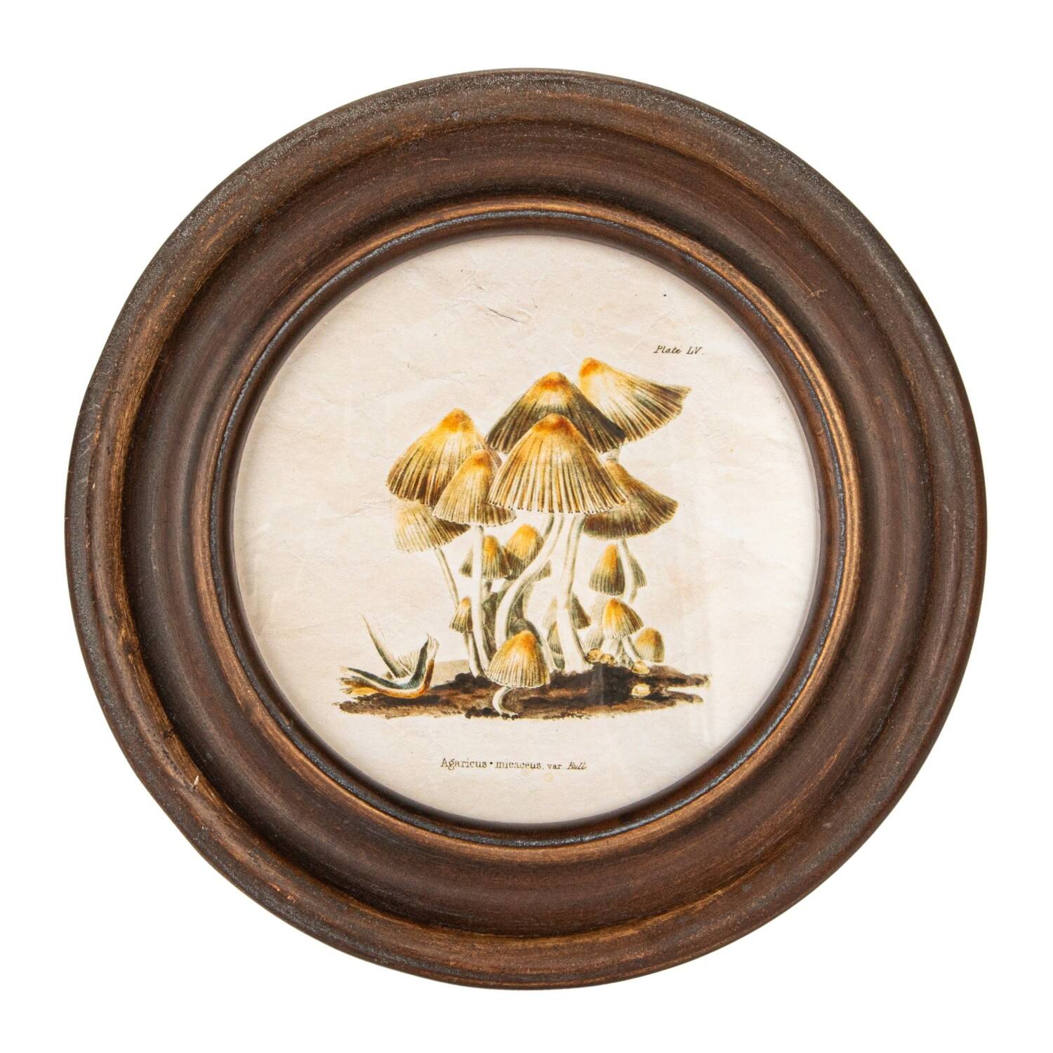 Hello Honey&#xAE; 9.5&#x22; Round Framed Mushroom Print Wall Art Set