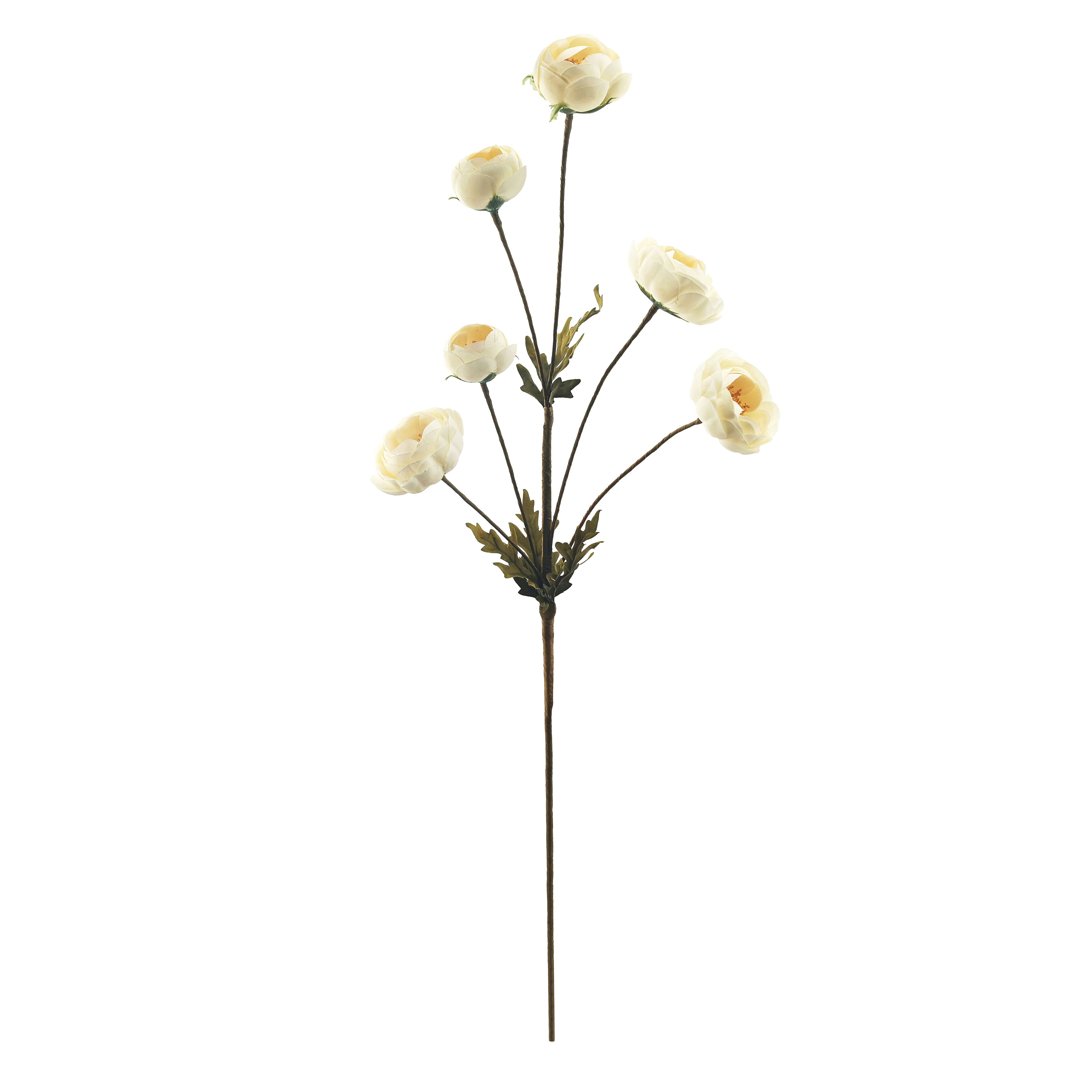 32&#x22; Ranunculus Stem by Ashland&#xAE;